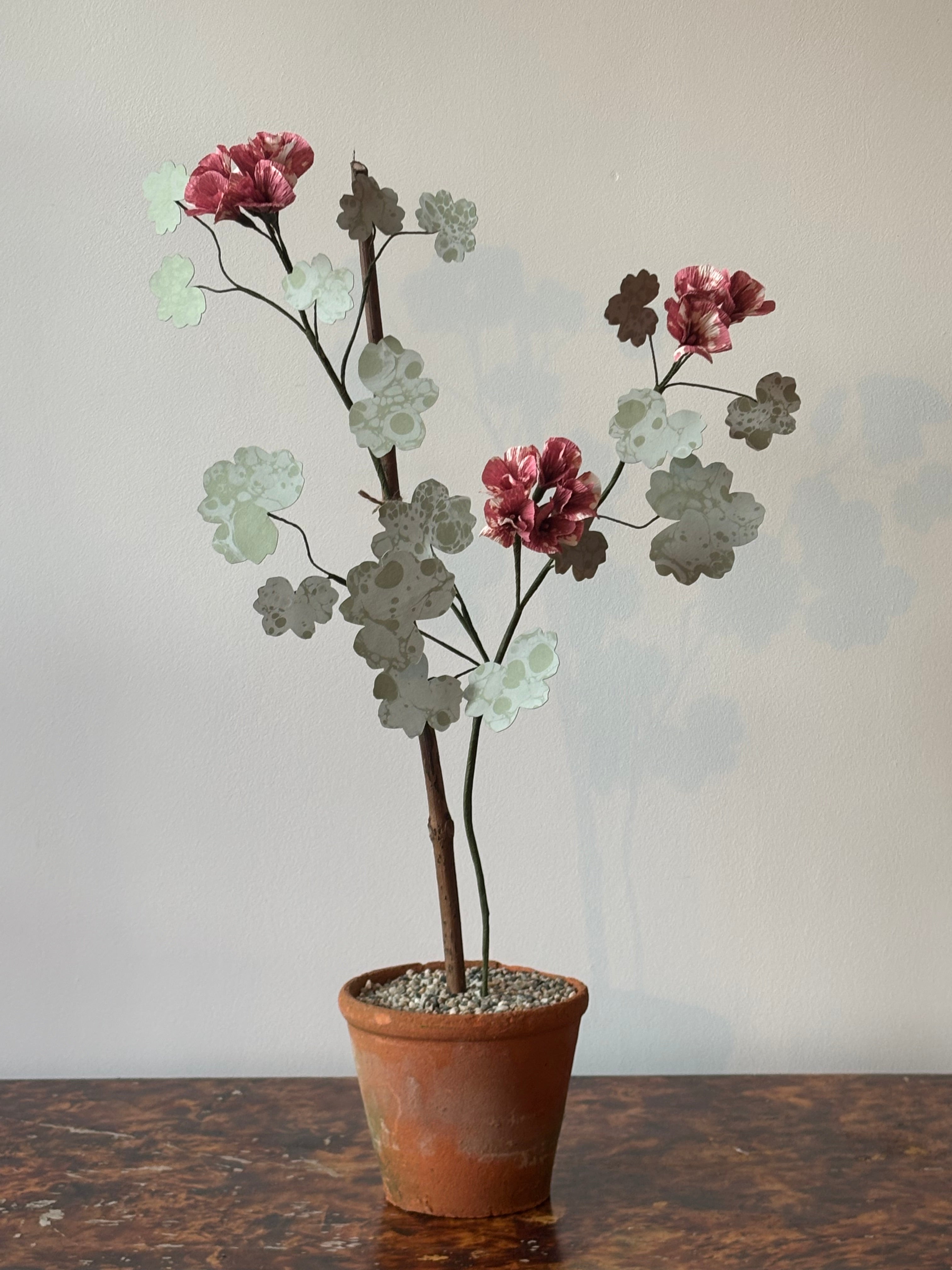 Paper Geranium