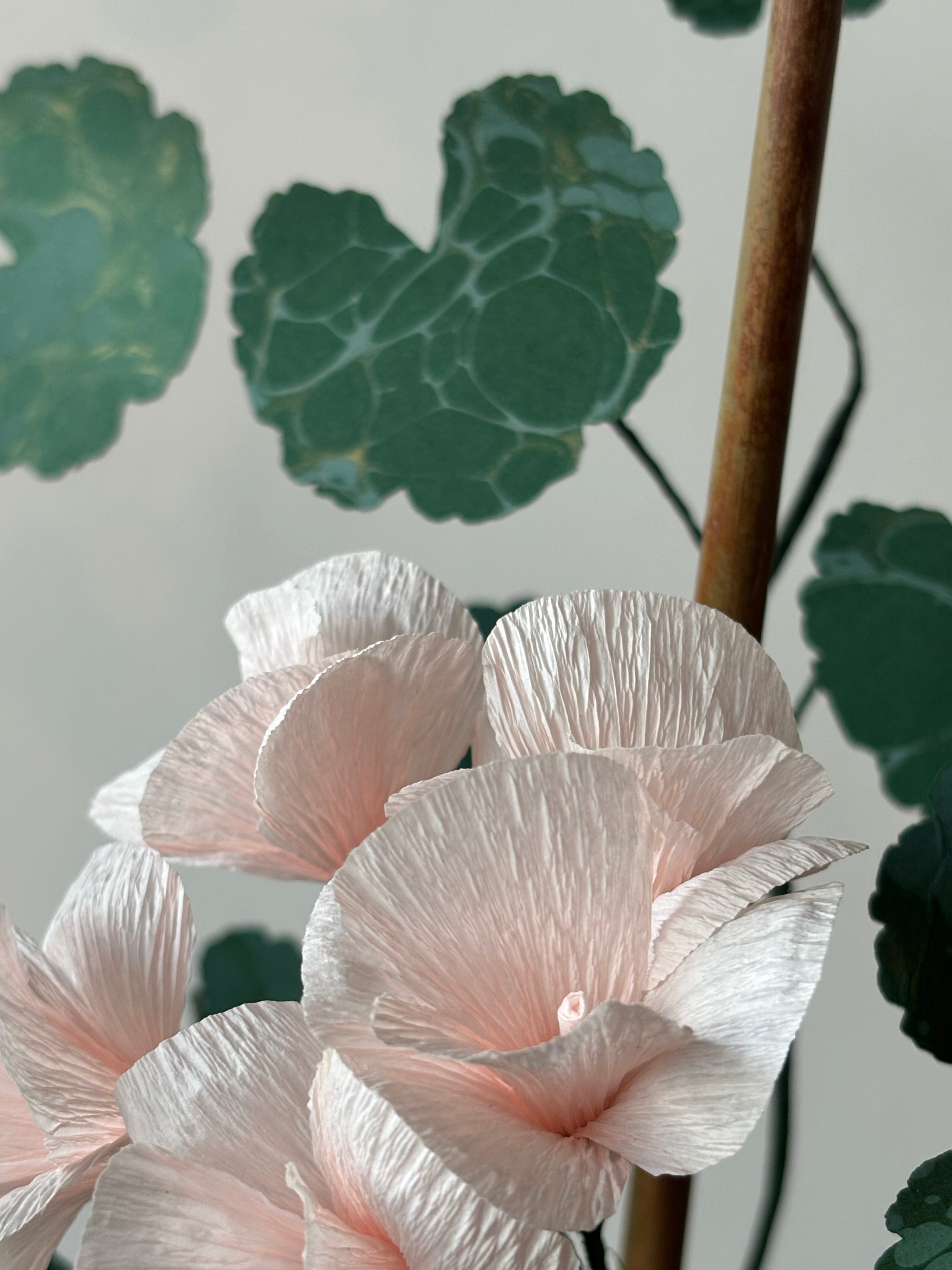 Paper Geranium