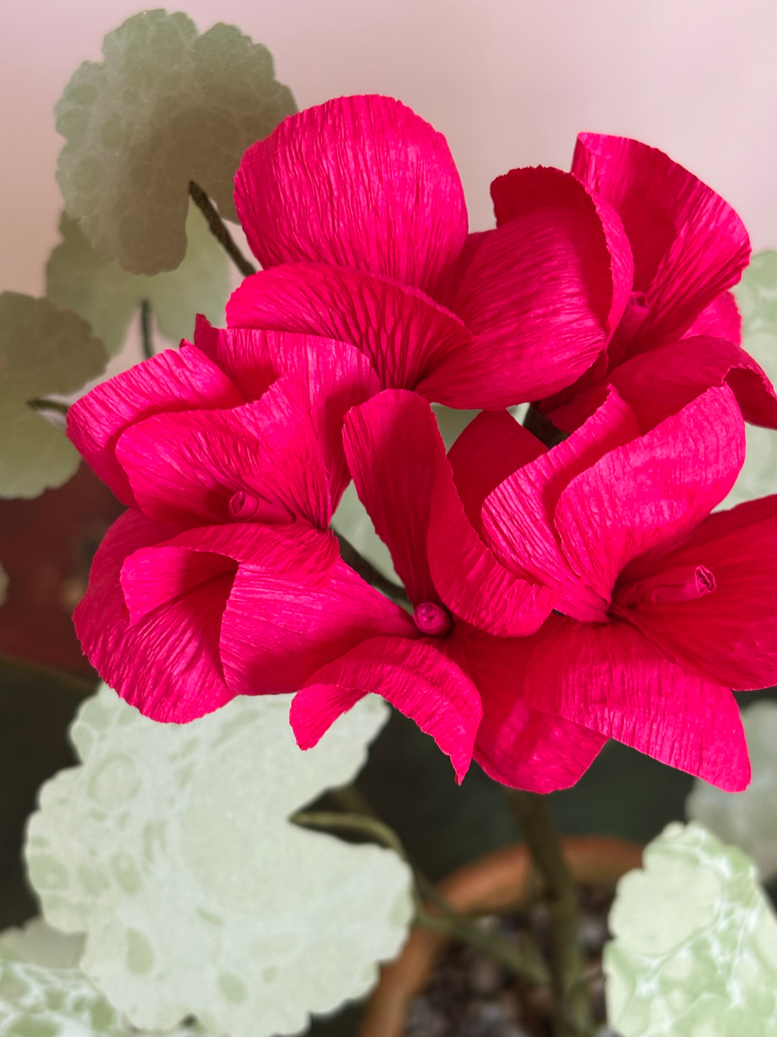 Paper Geranium