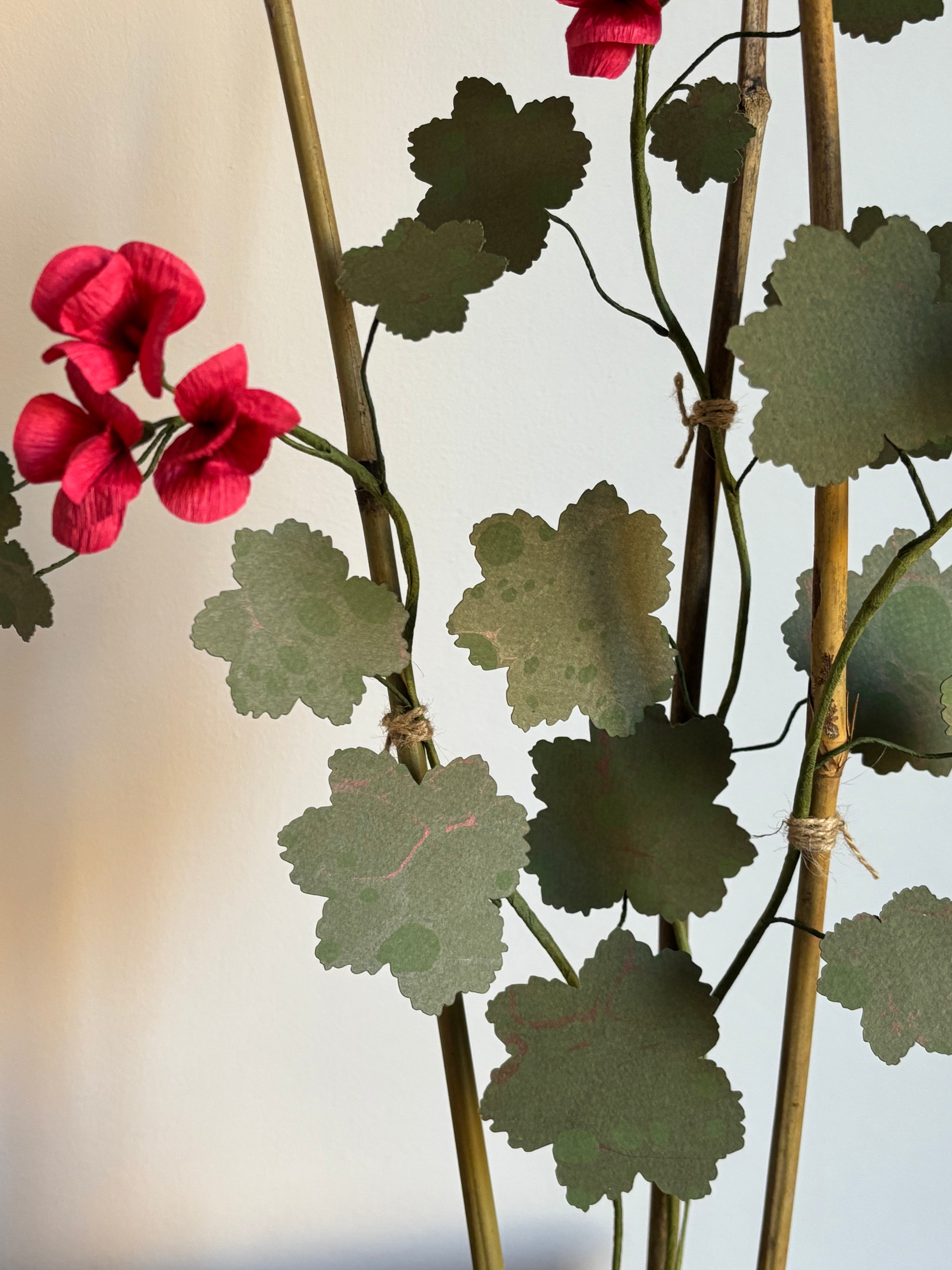 Paper Geranium