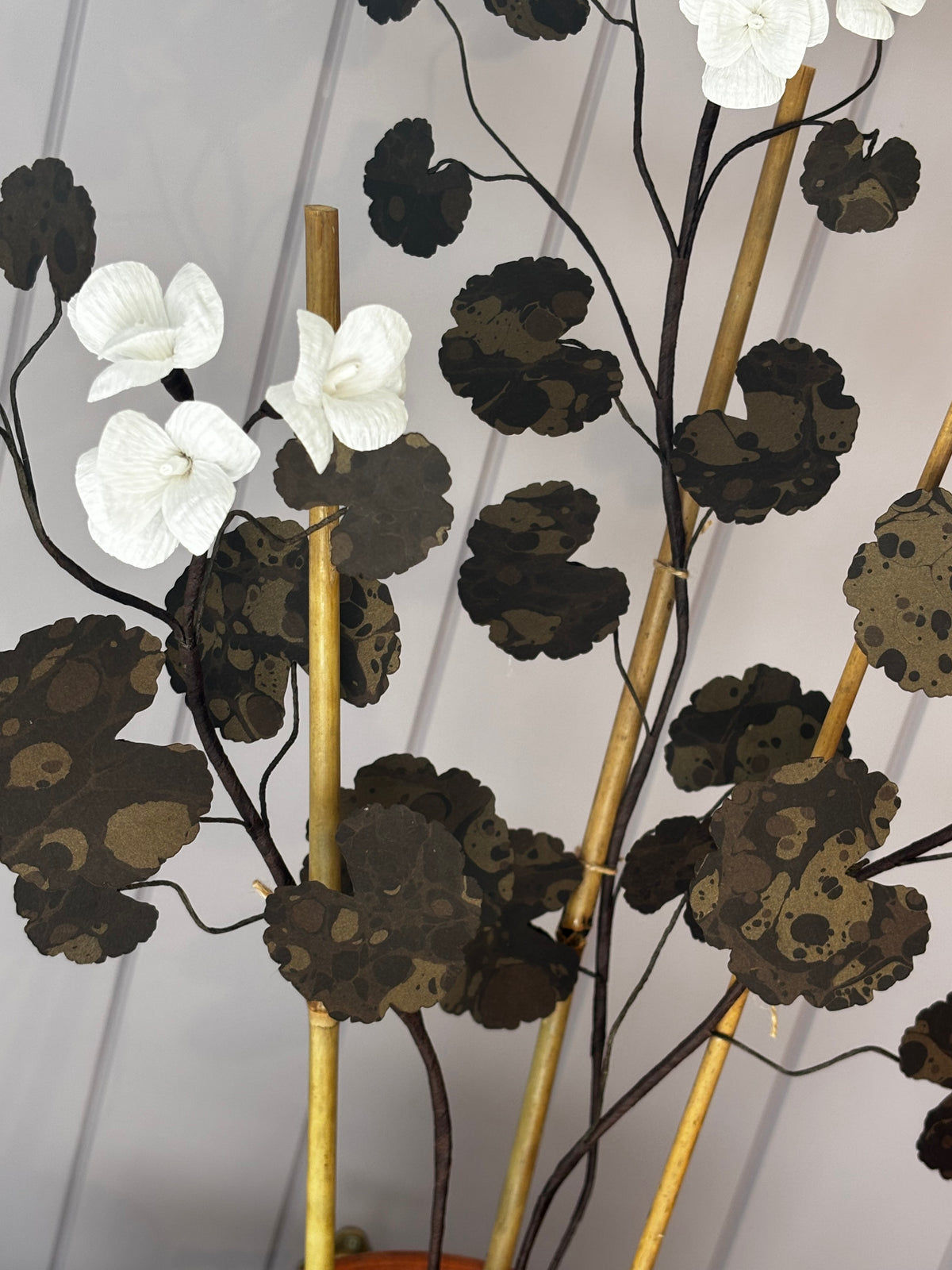 Paper geranium