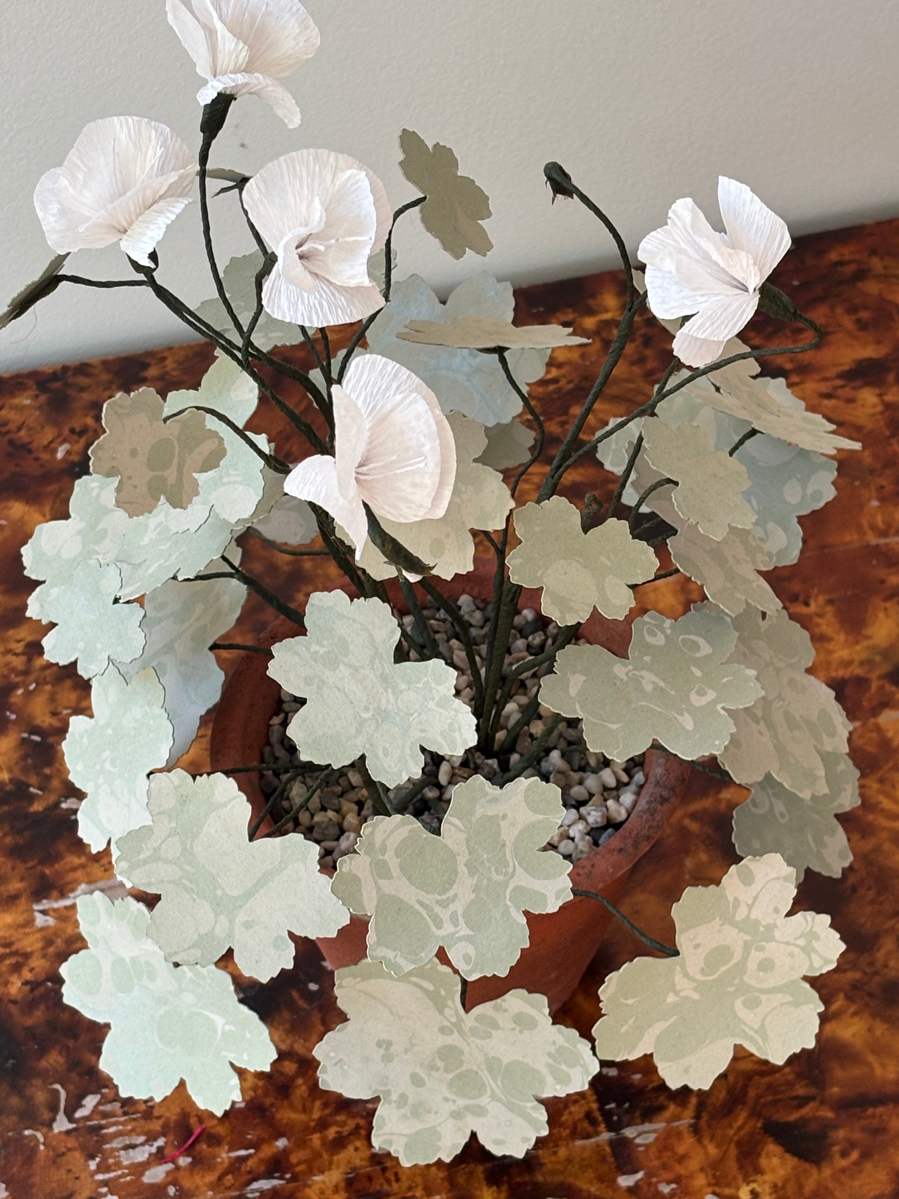 Paper Geranium
