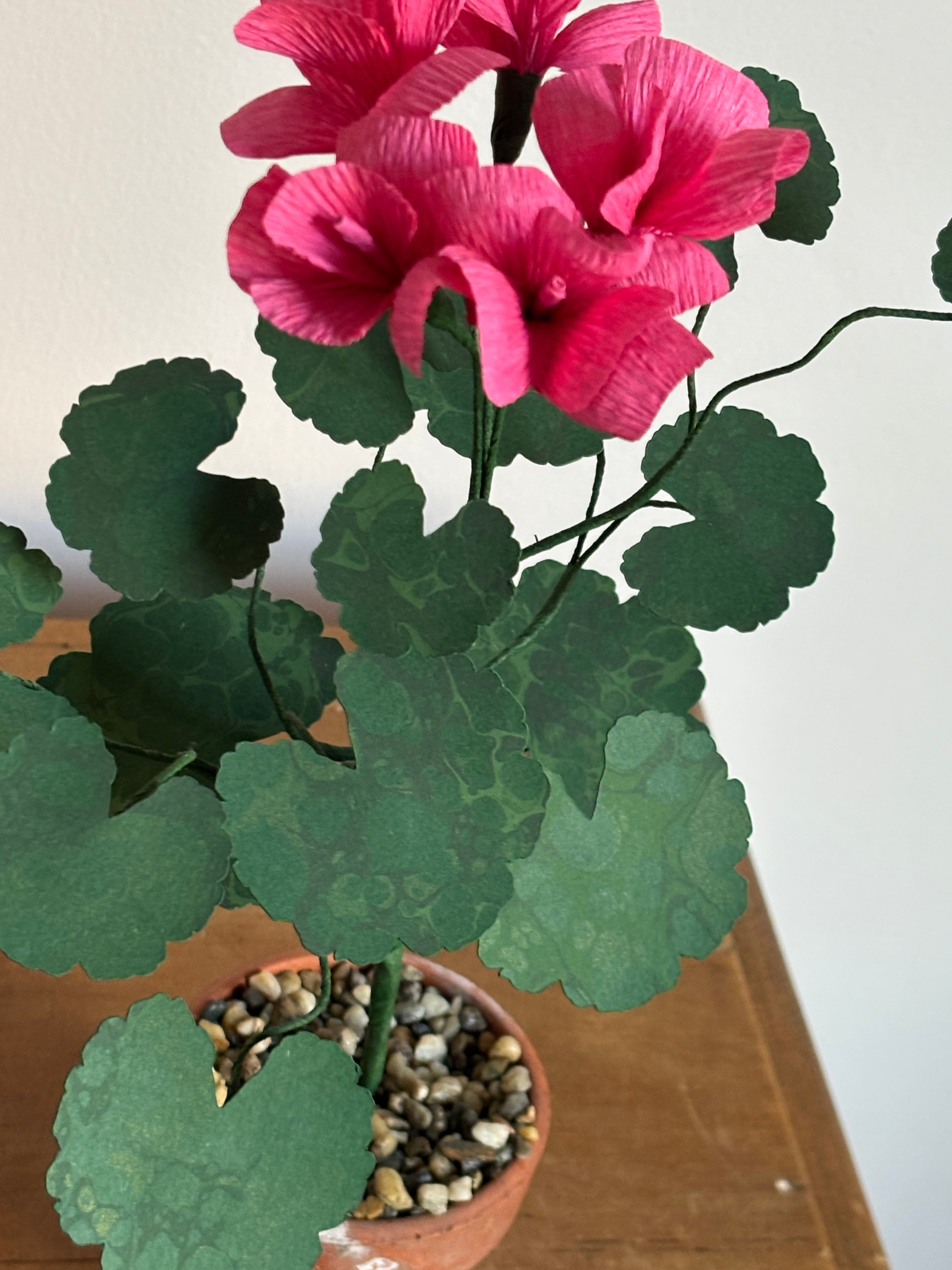Paper Geranium