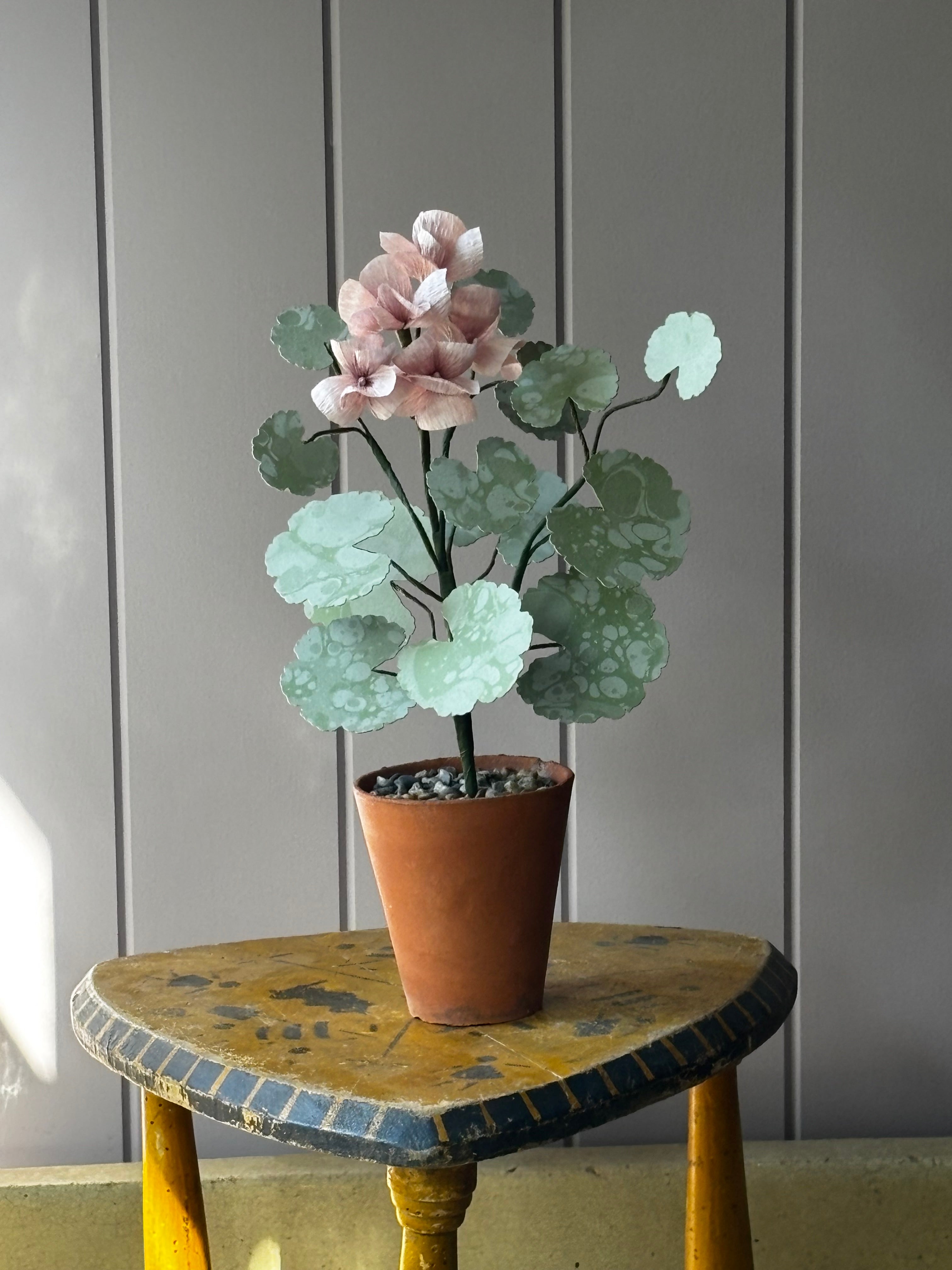 Paper geranium