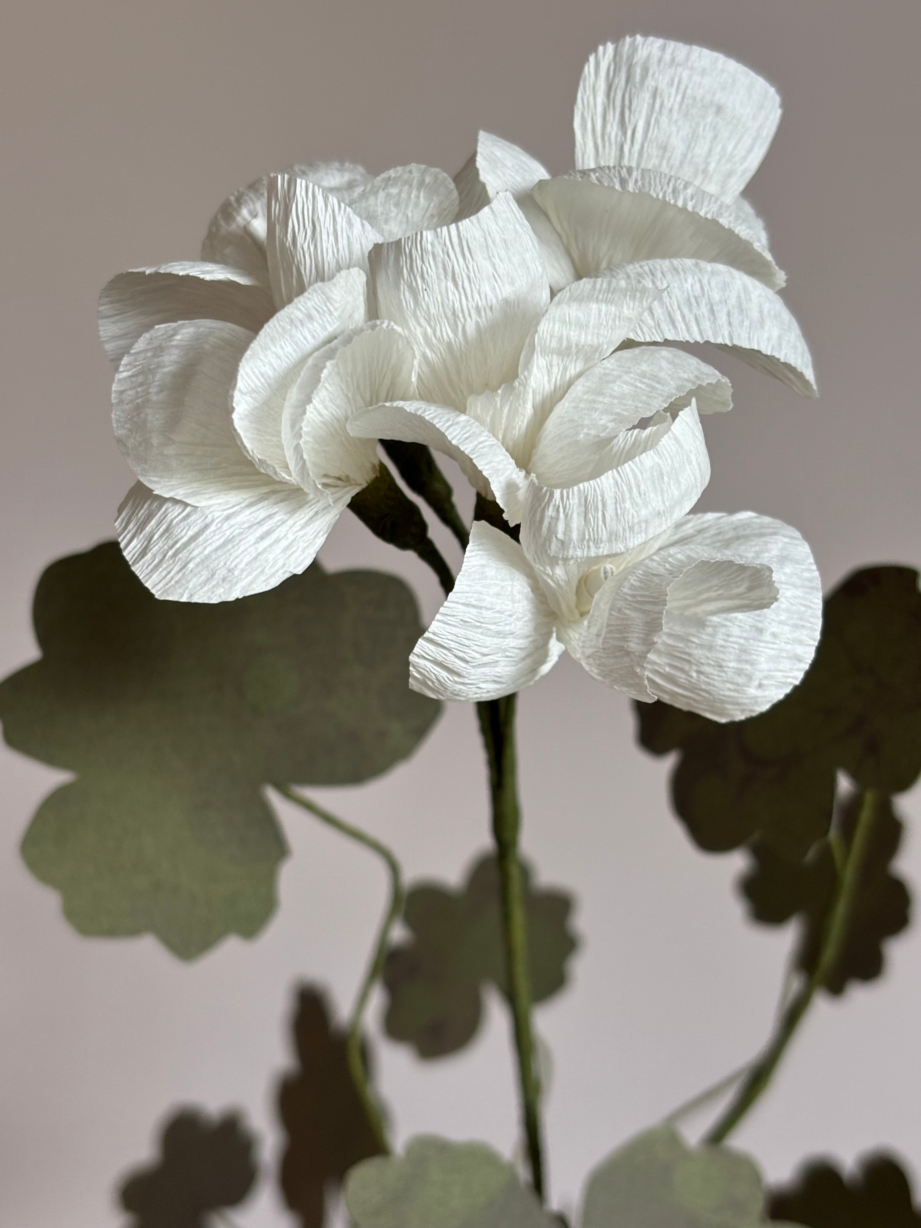Paper Geranium