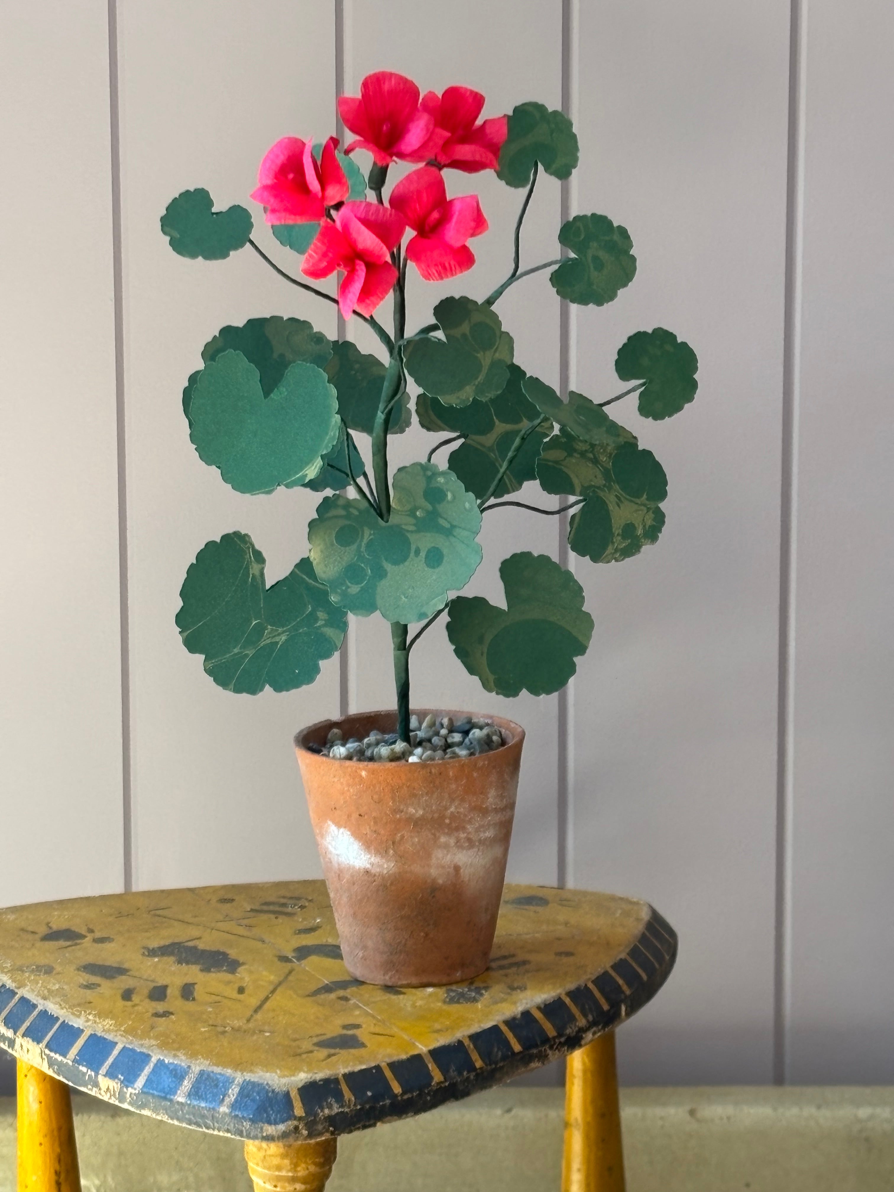 Paper geranium
