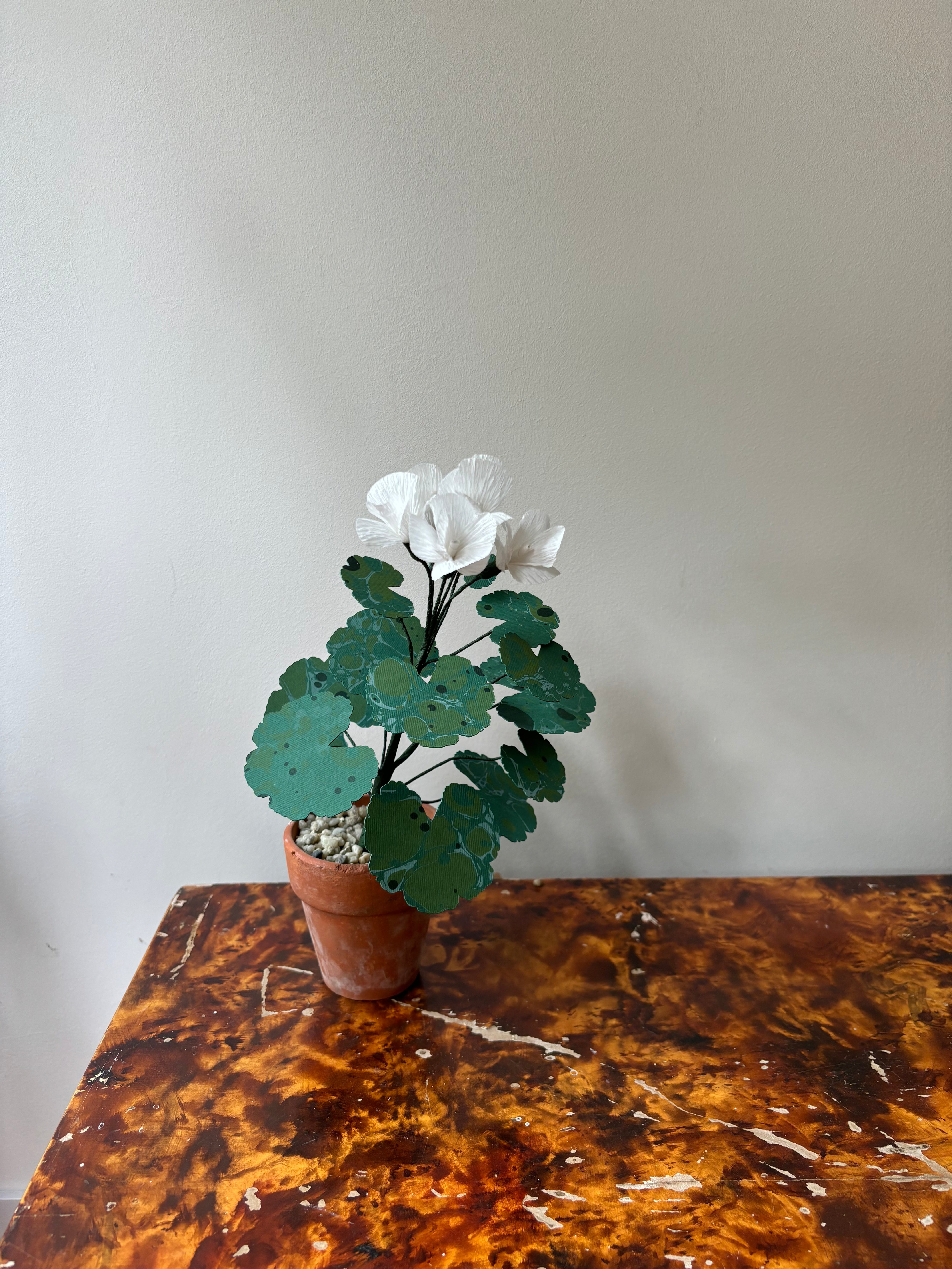 Paper Geranium