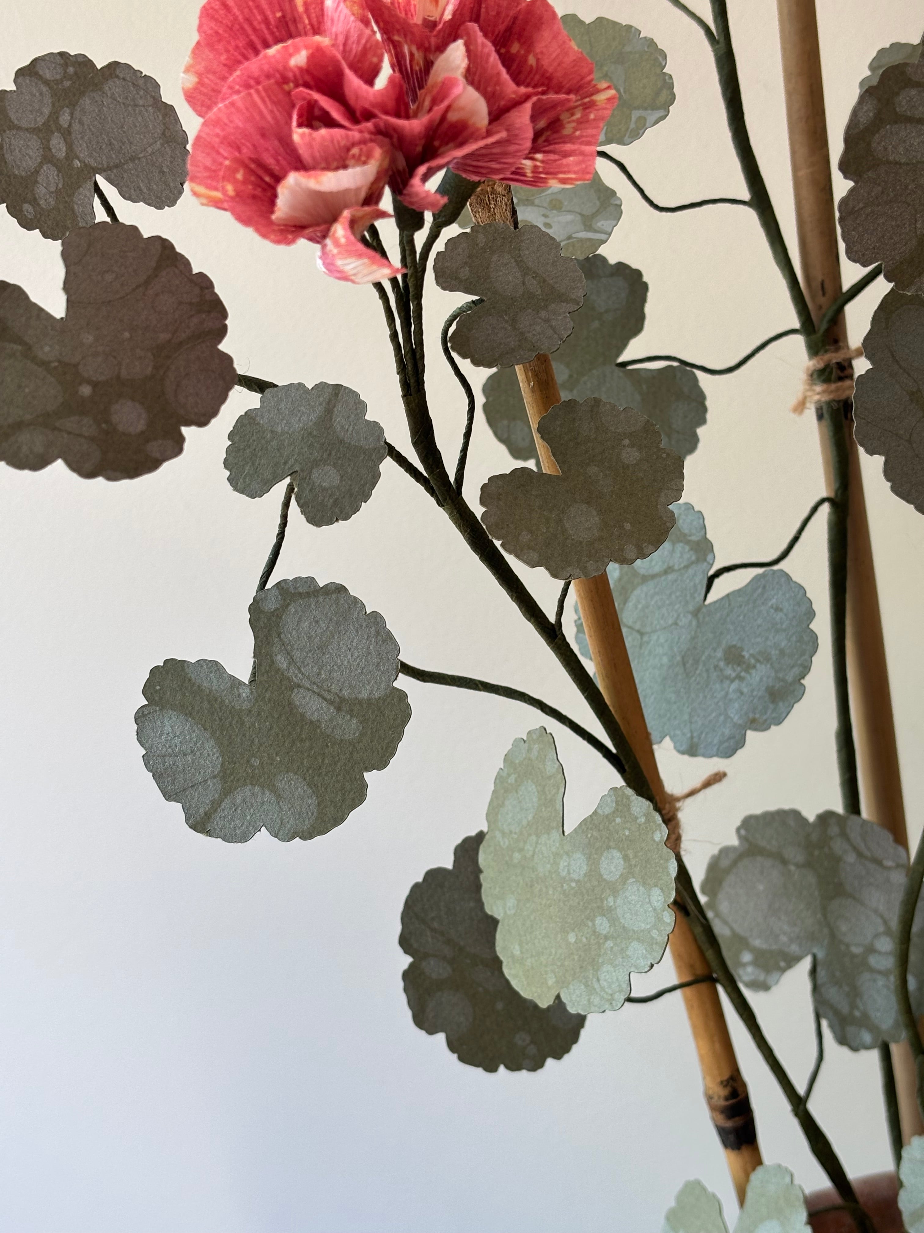 Paper Geranium