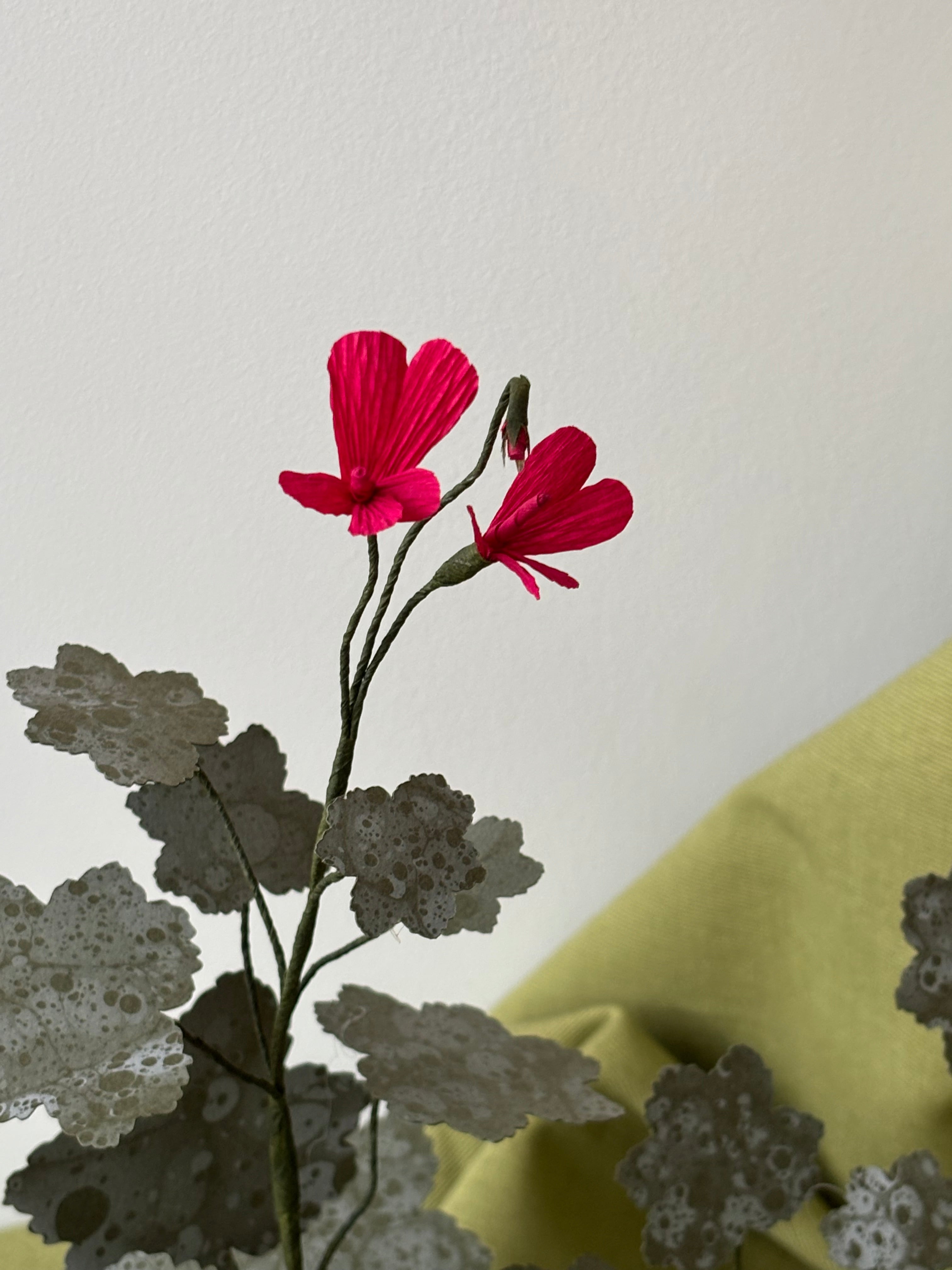 Paper Geranium