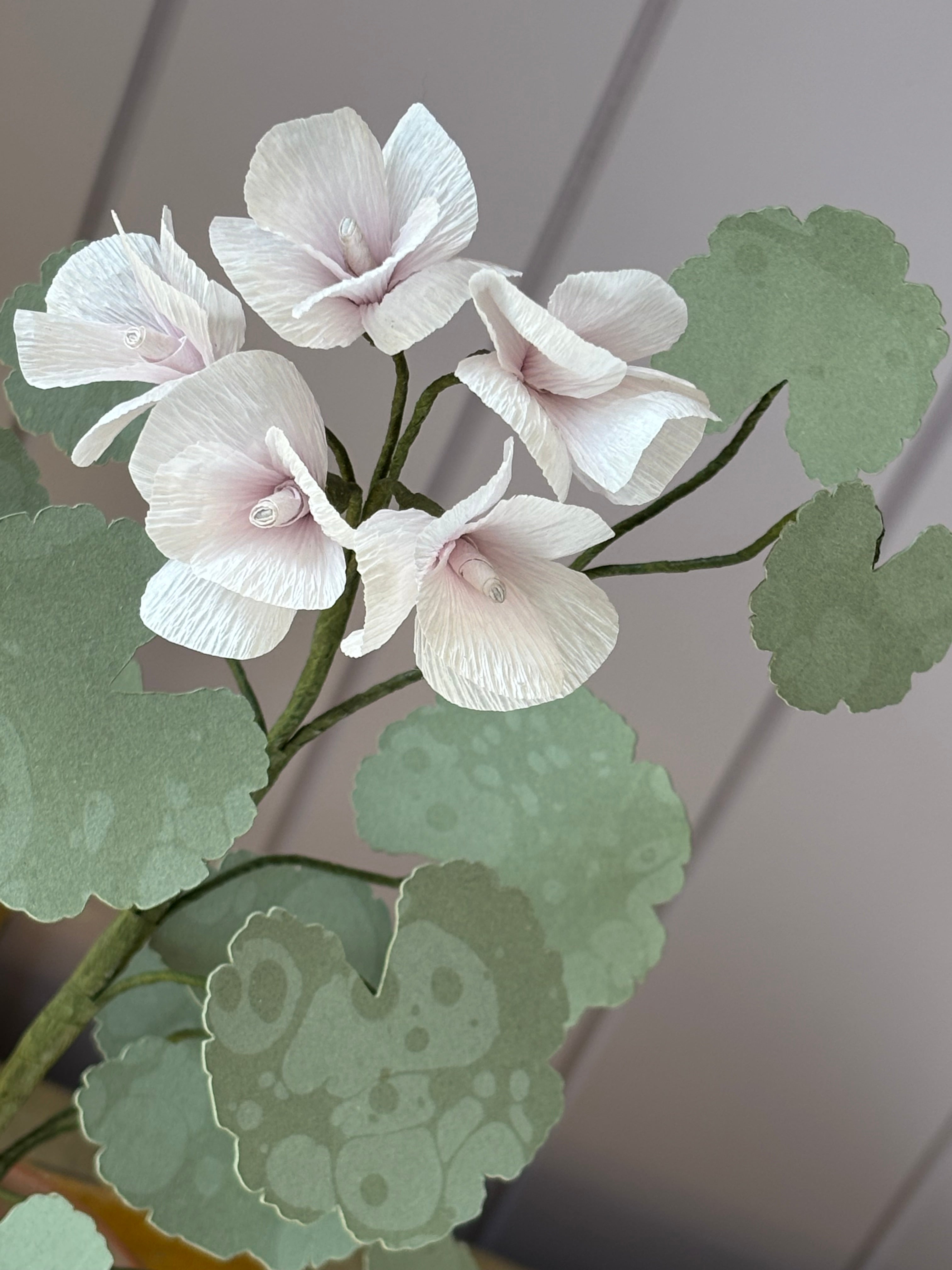 Paper Geranium
