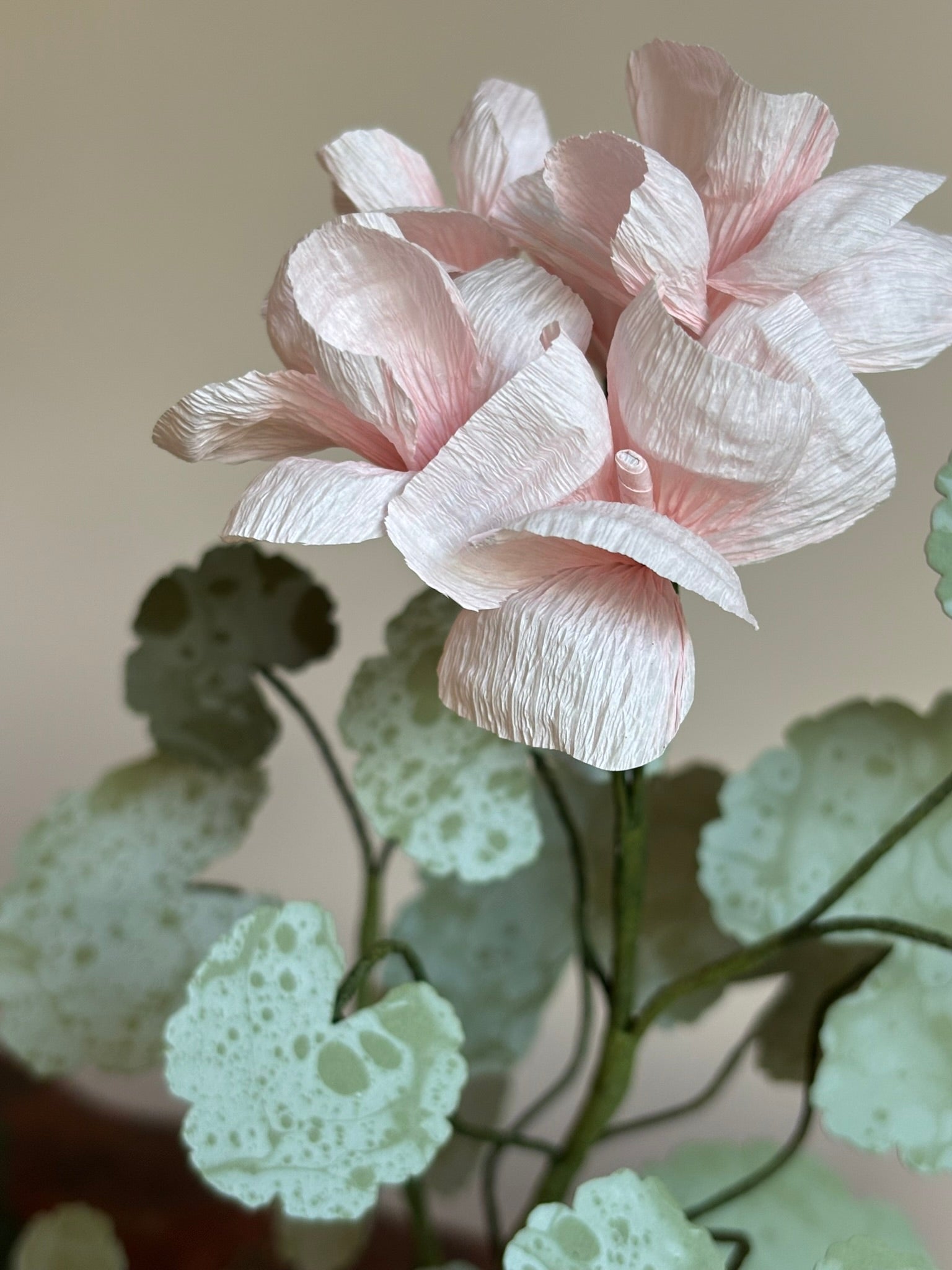Paper Geranium