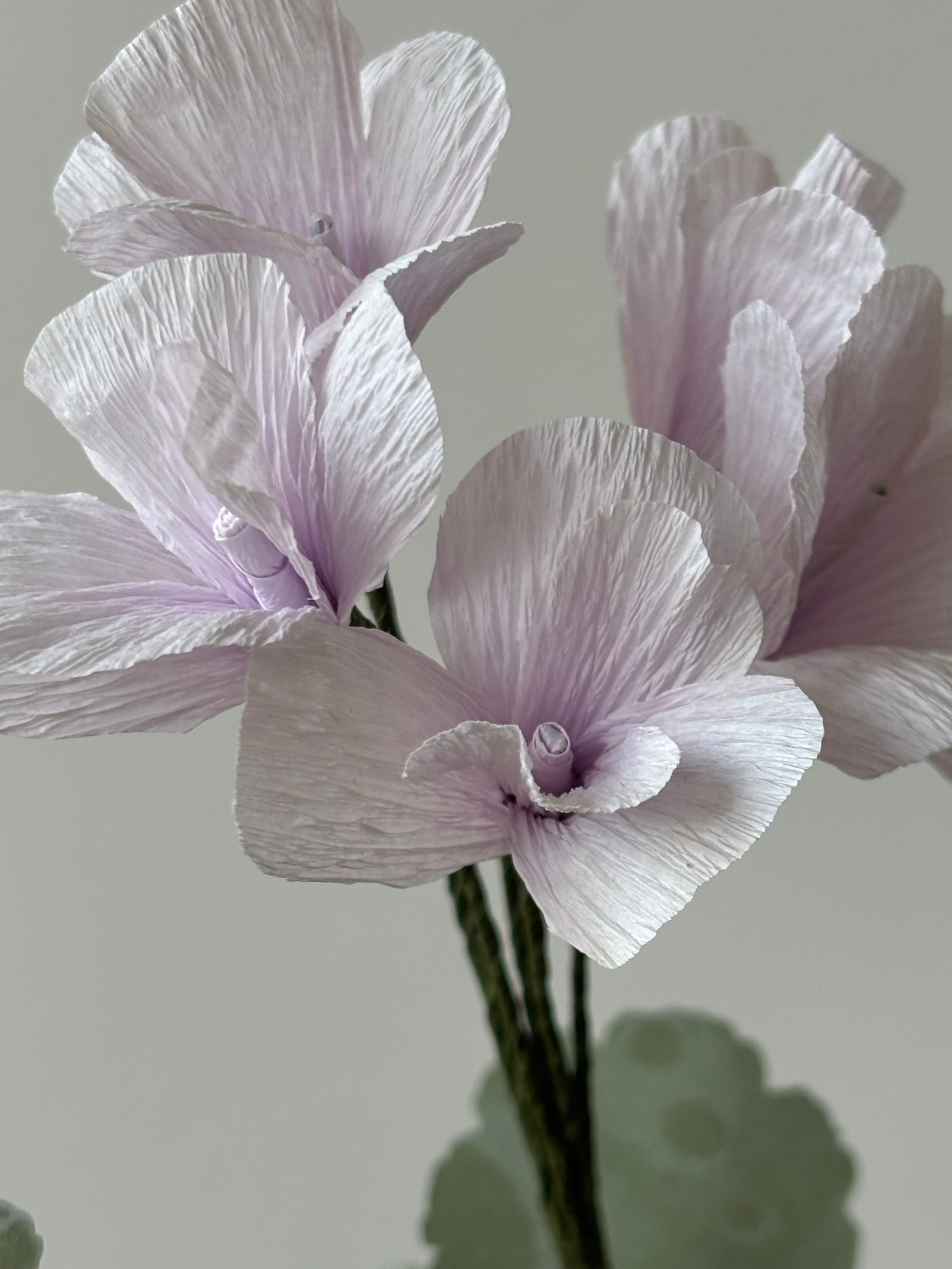 Paper Geranium