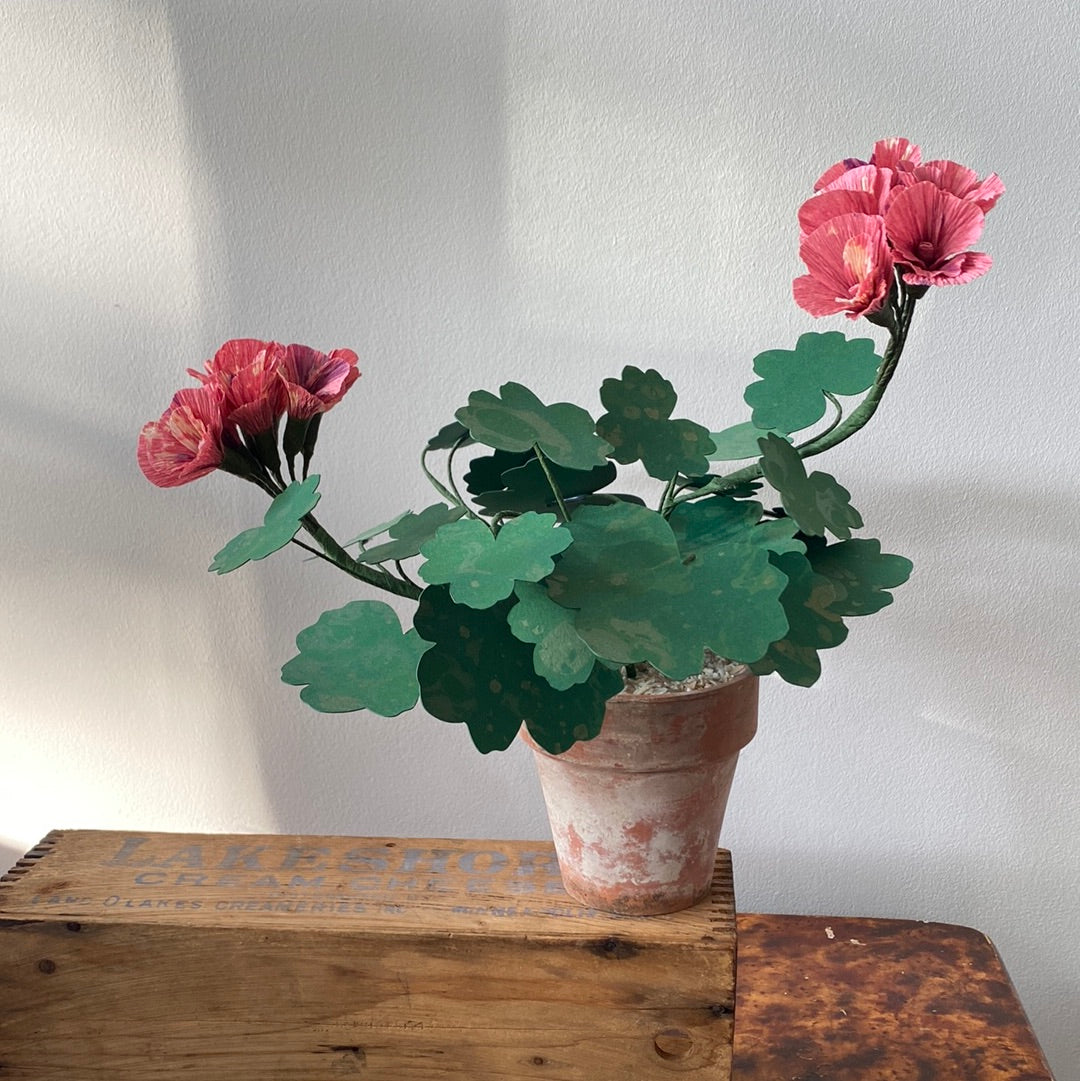 Paper Geranium