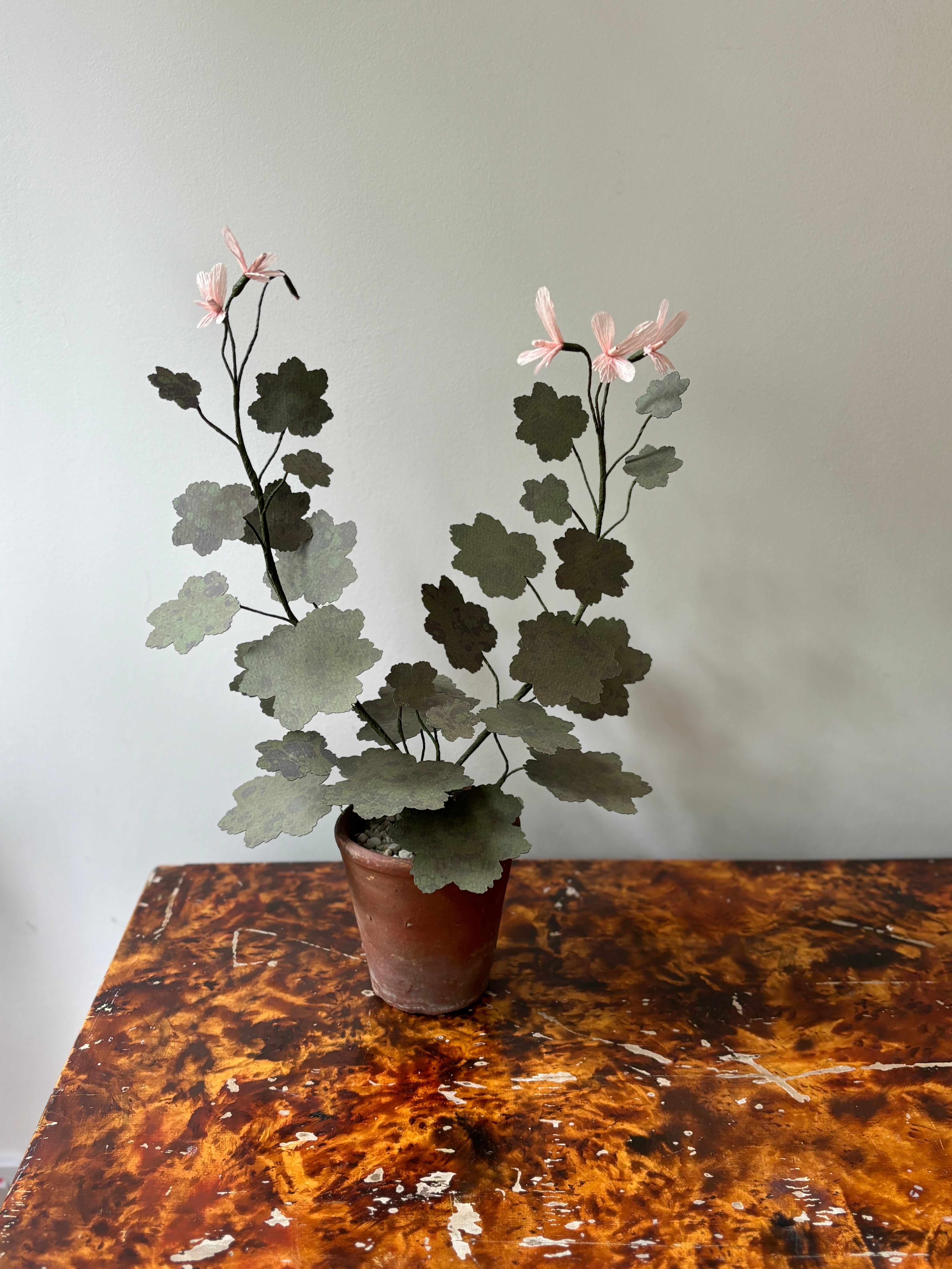 Paper Geranium