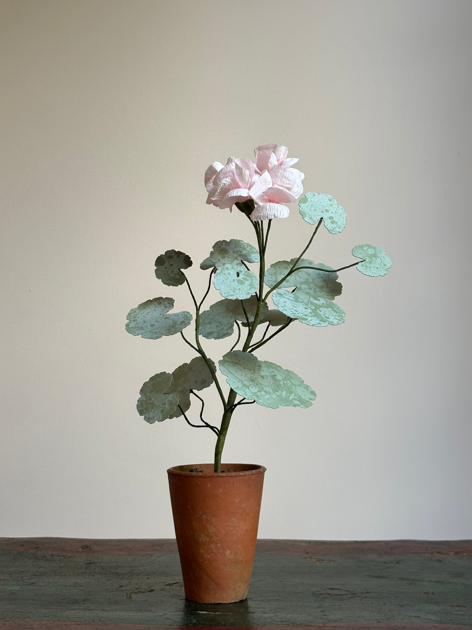 Paper Geranium