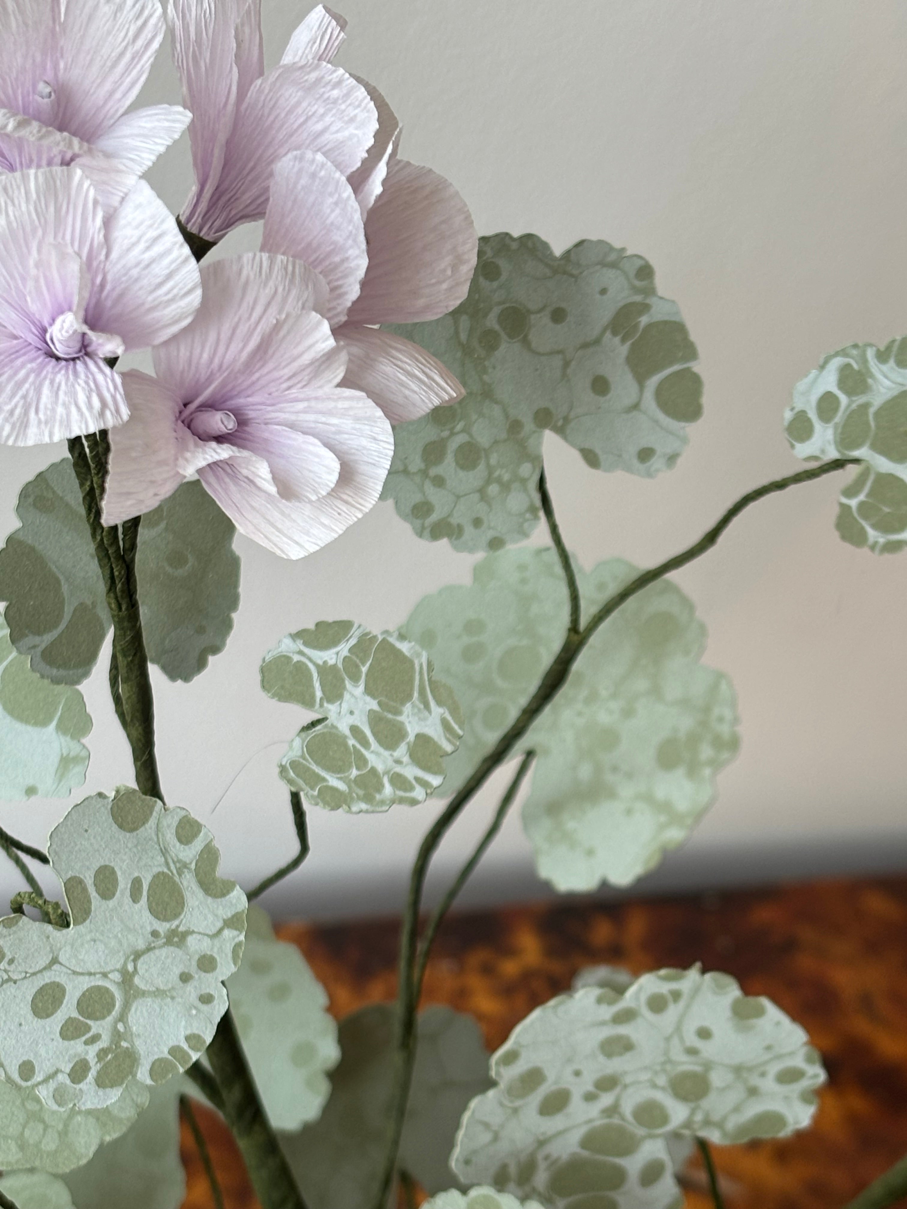 Paper Geranium