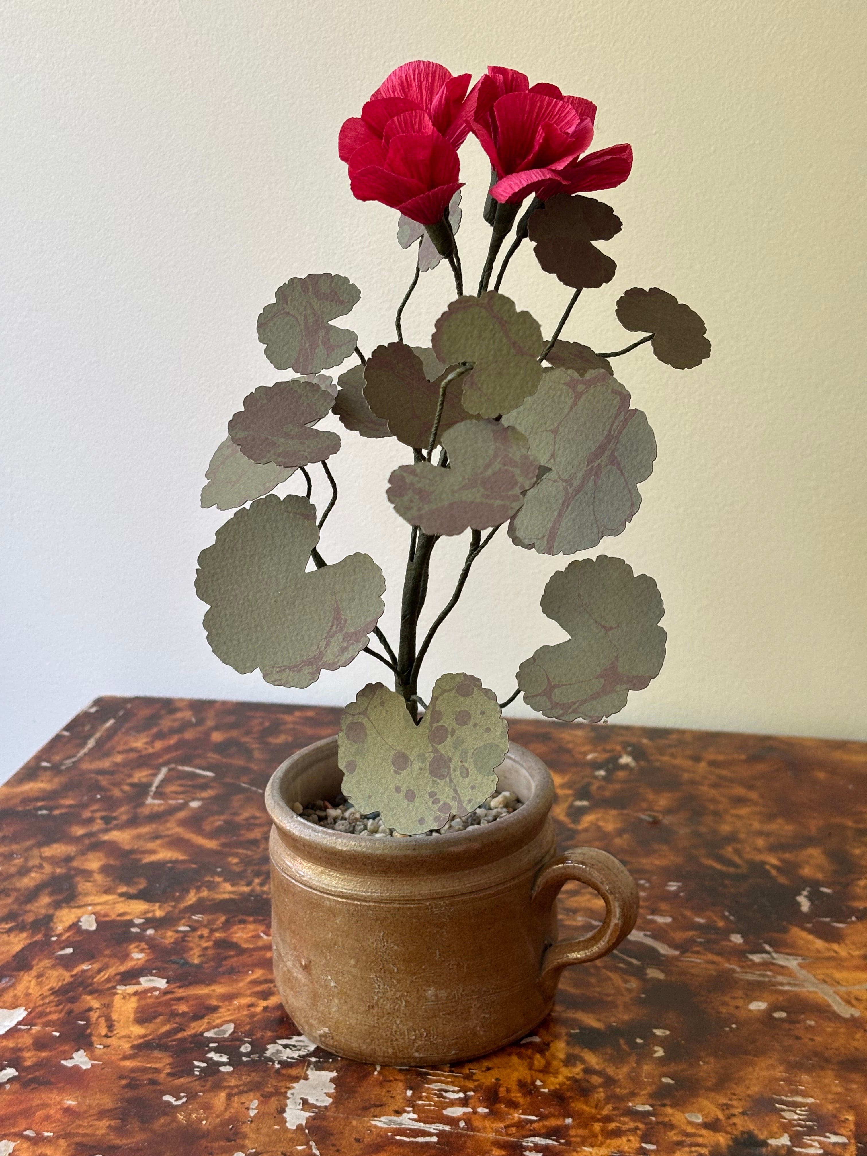 Paper Geranium