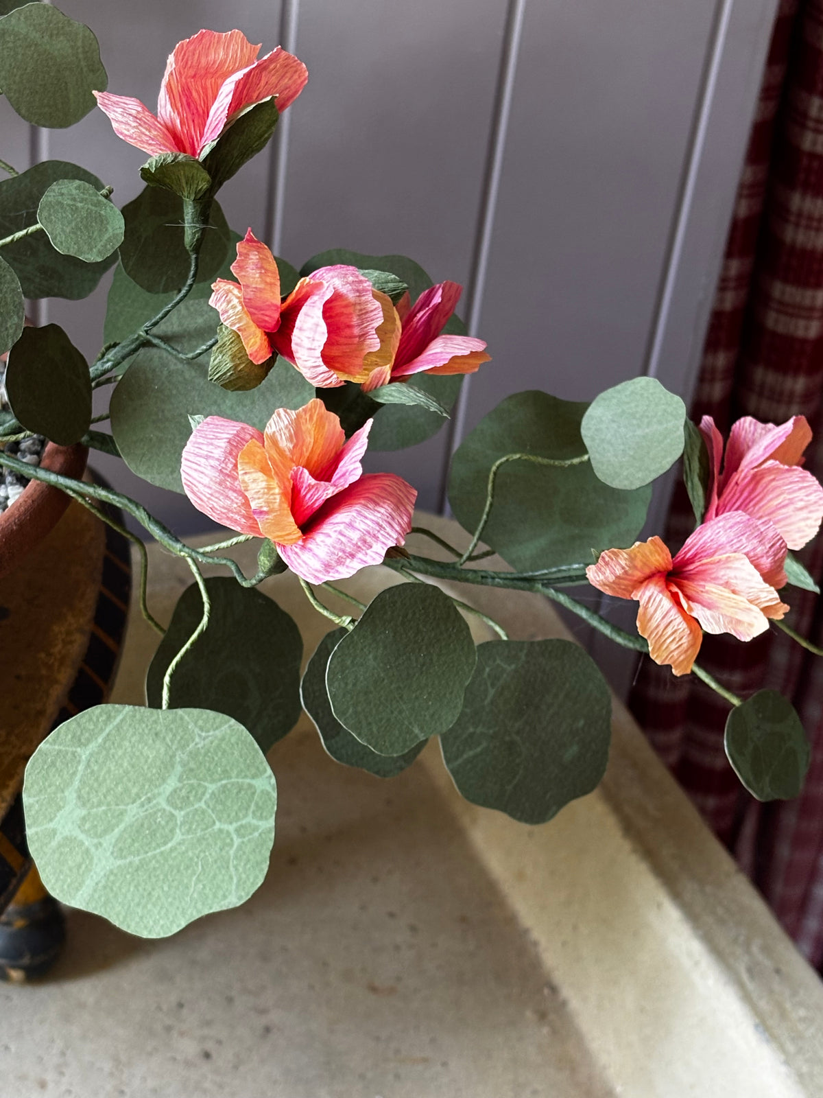Paper Nasturtium, trailing