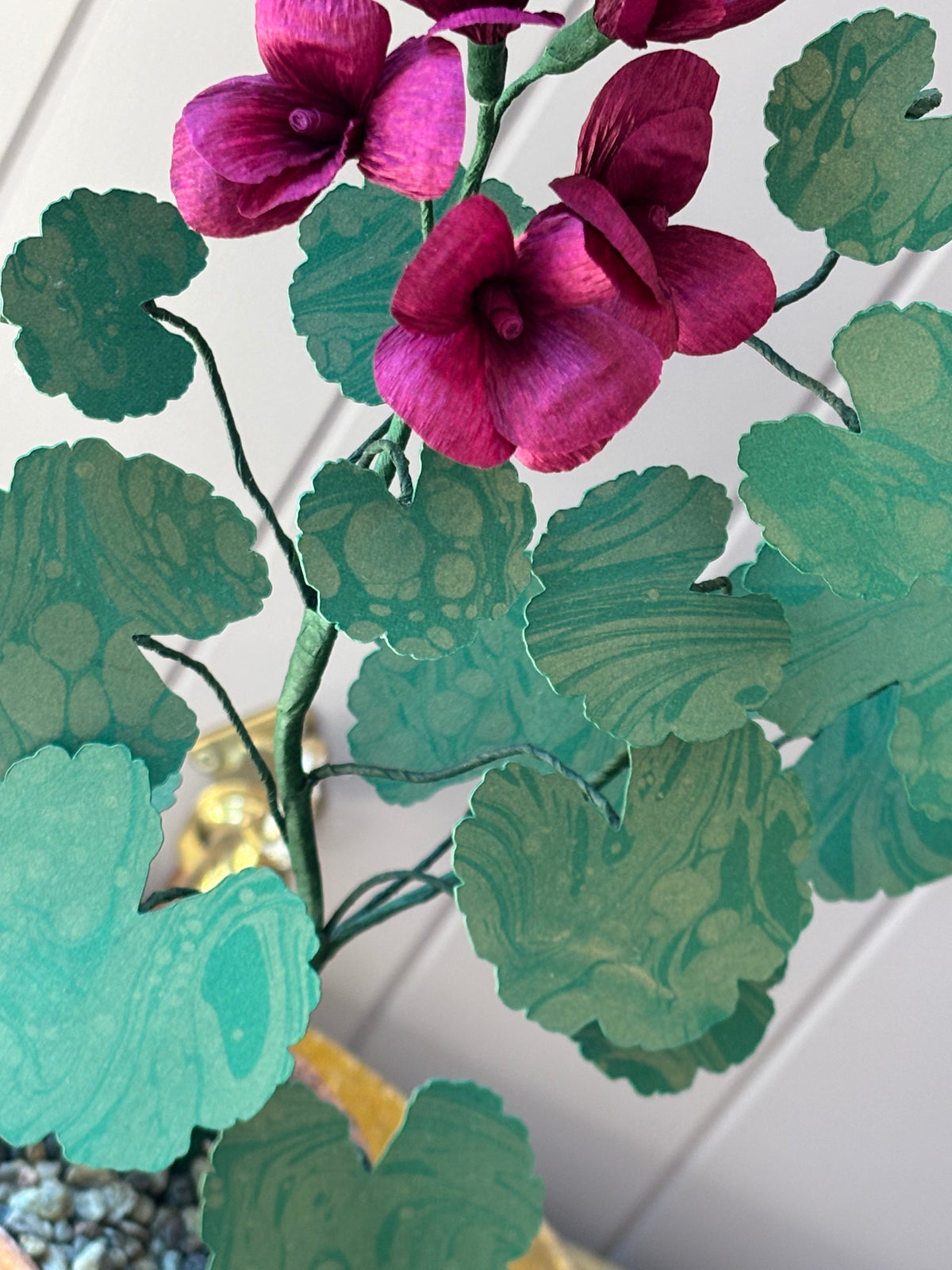 Paper geranium