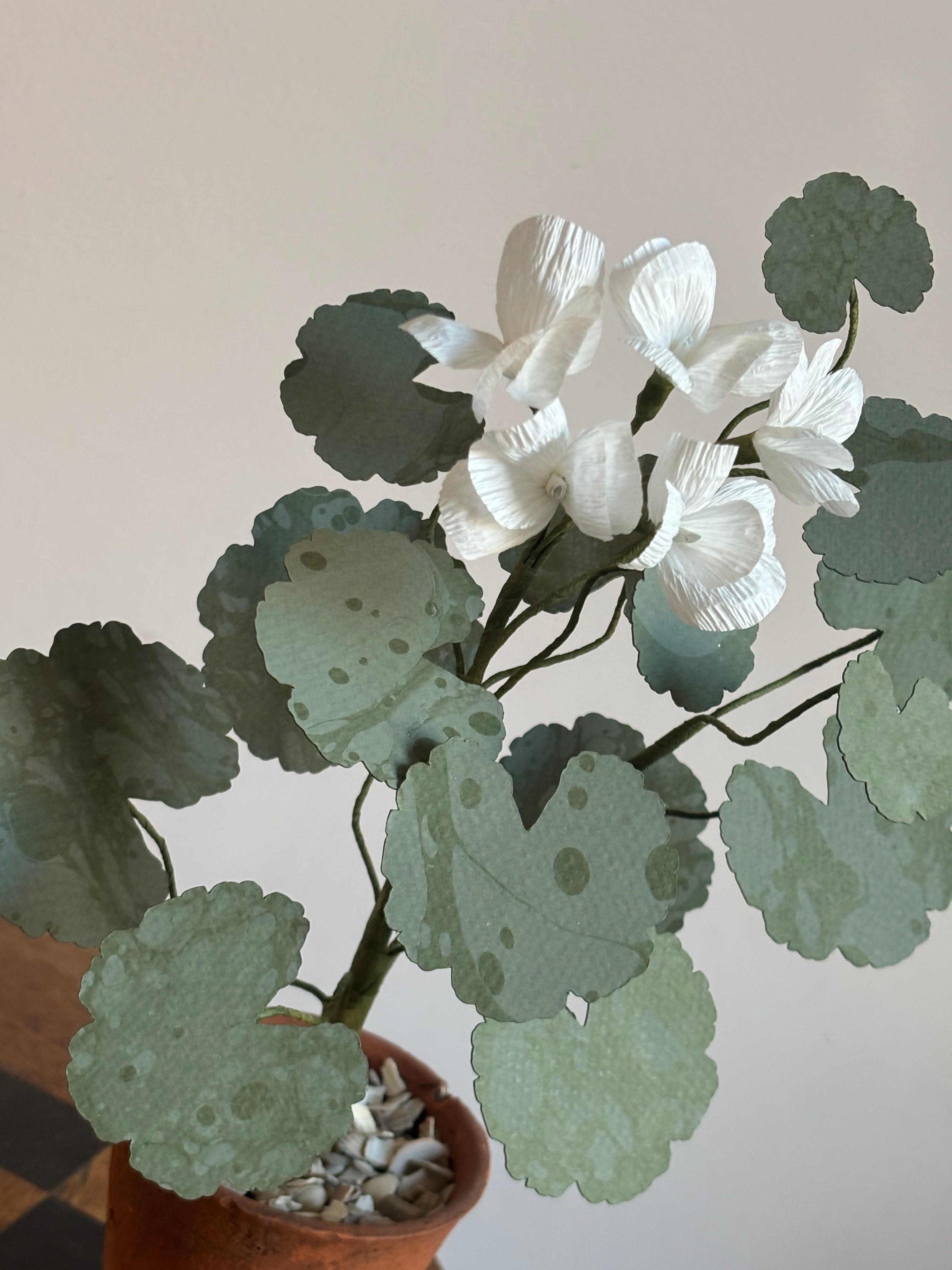Paper Geranium