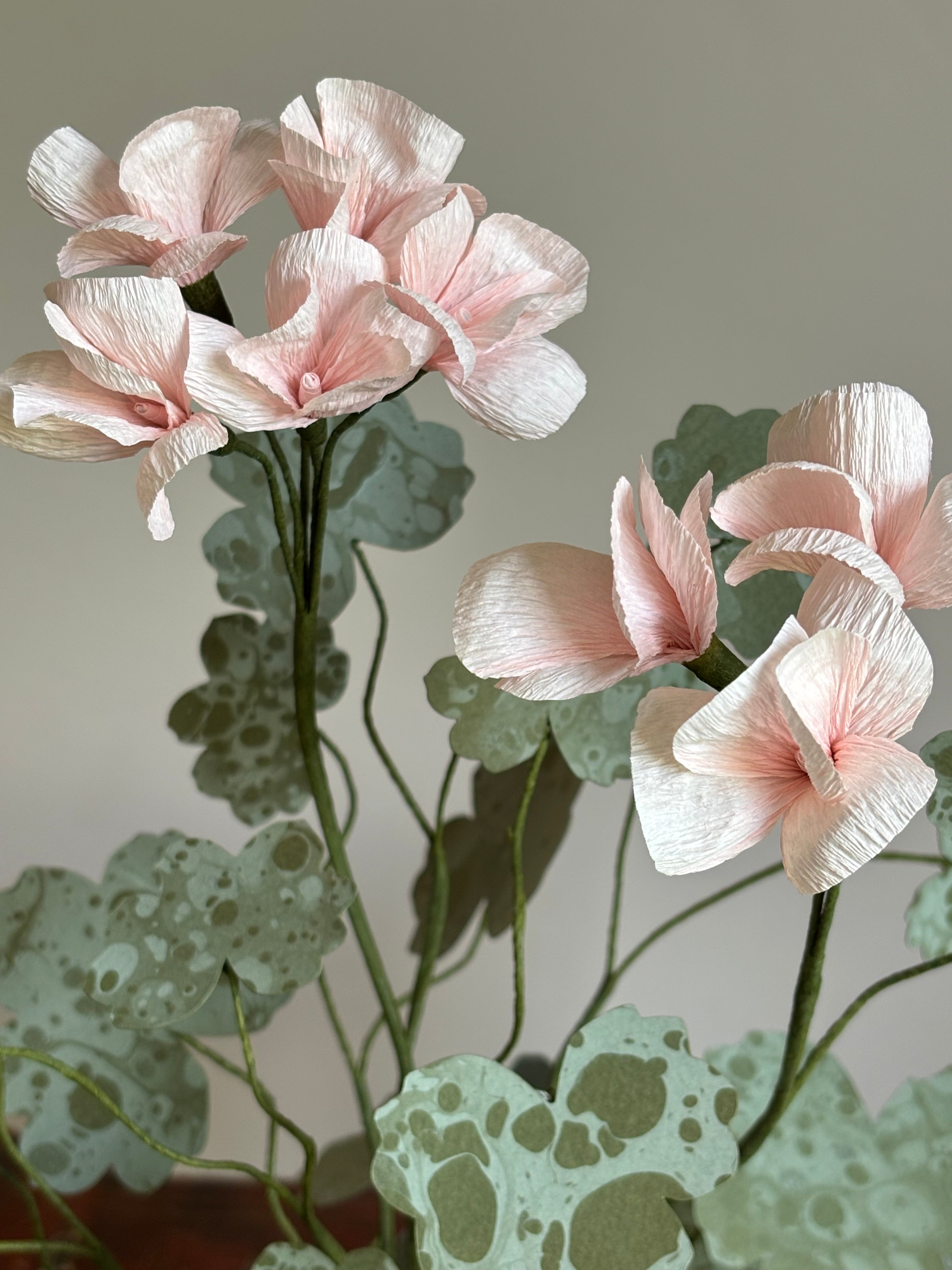 Paper Geranium