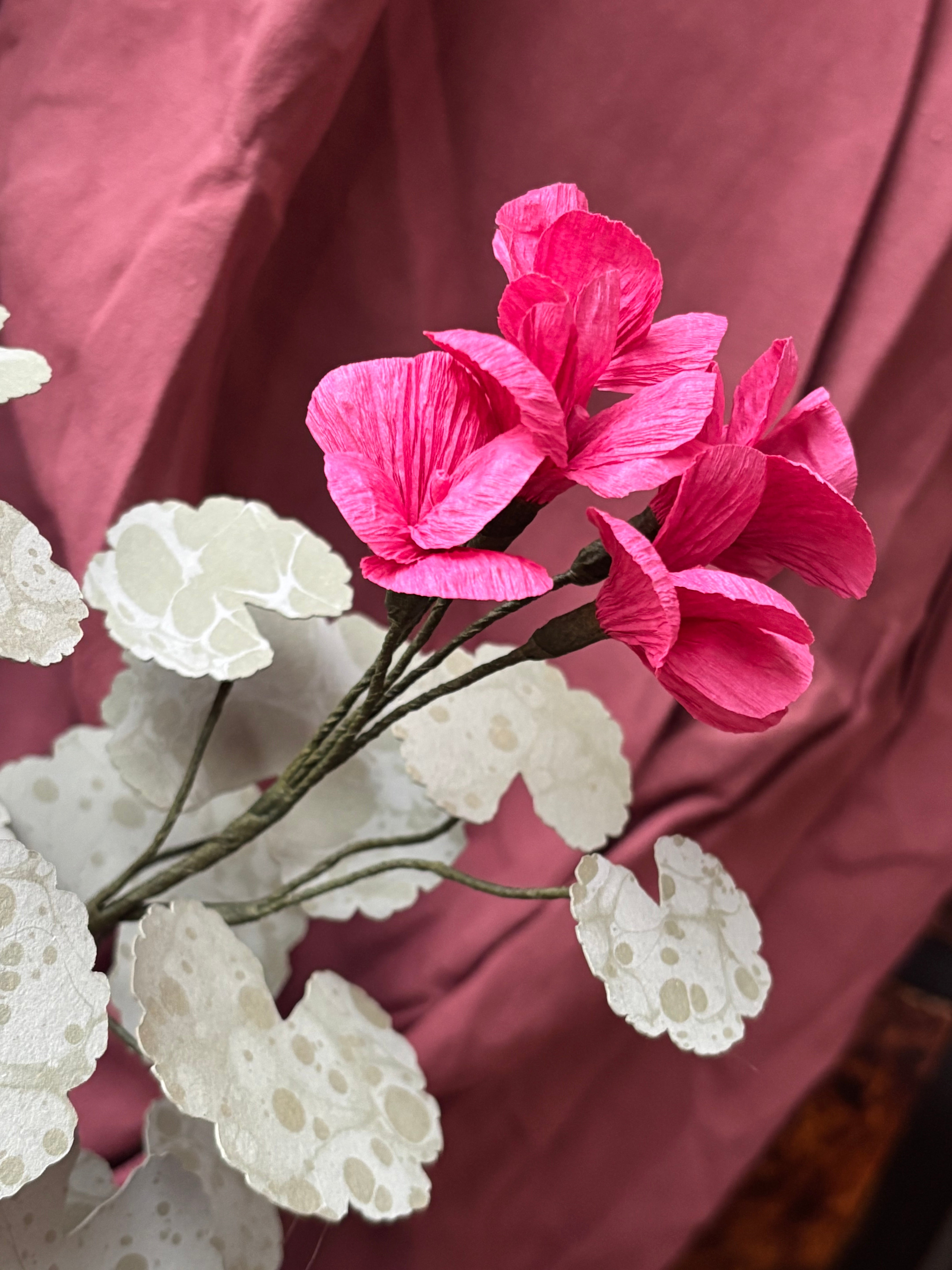 Paper Geranium