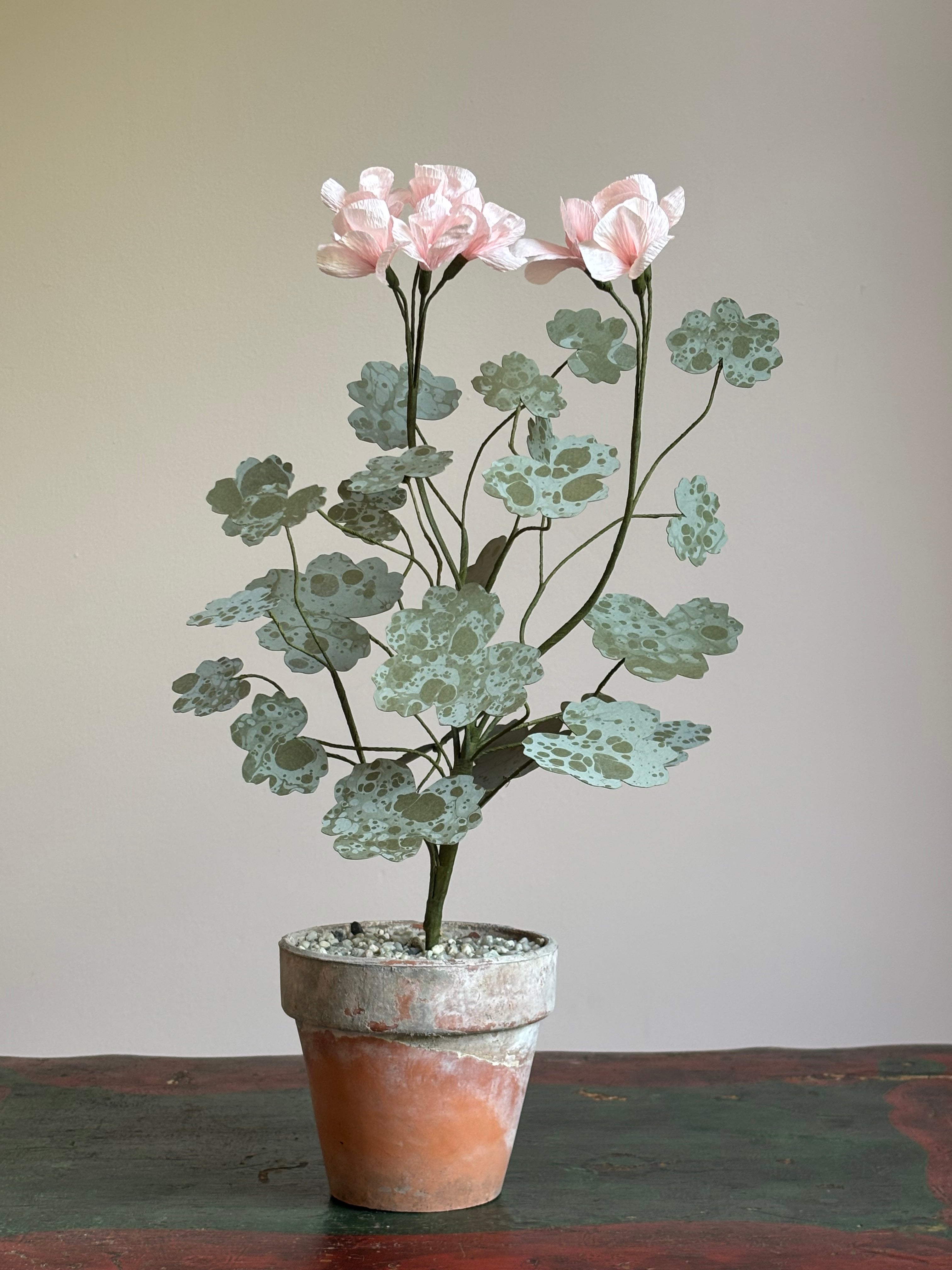 Paper Geranium
