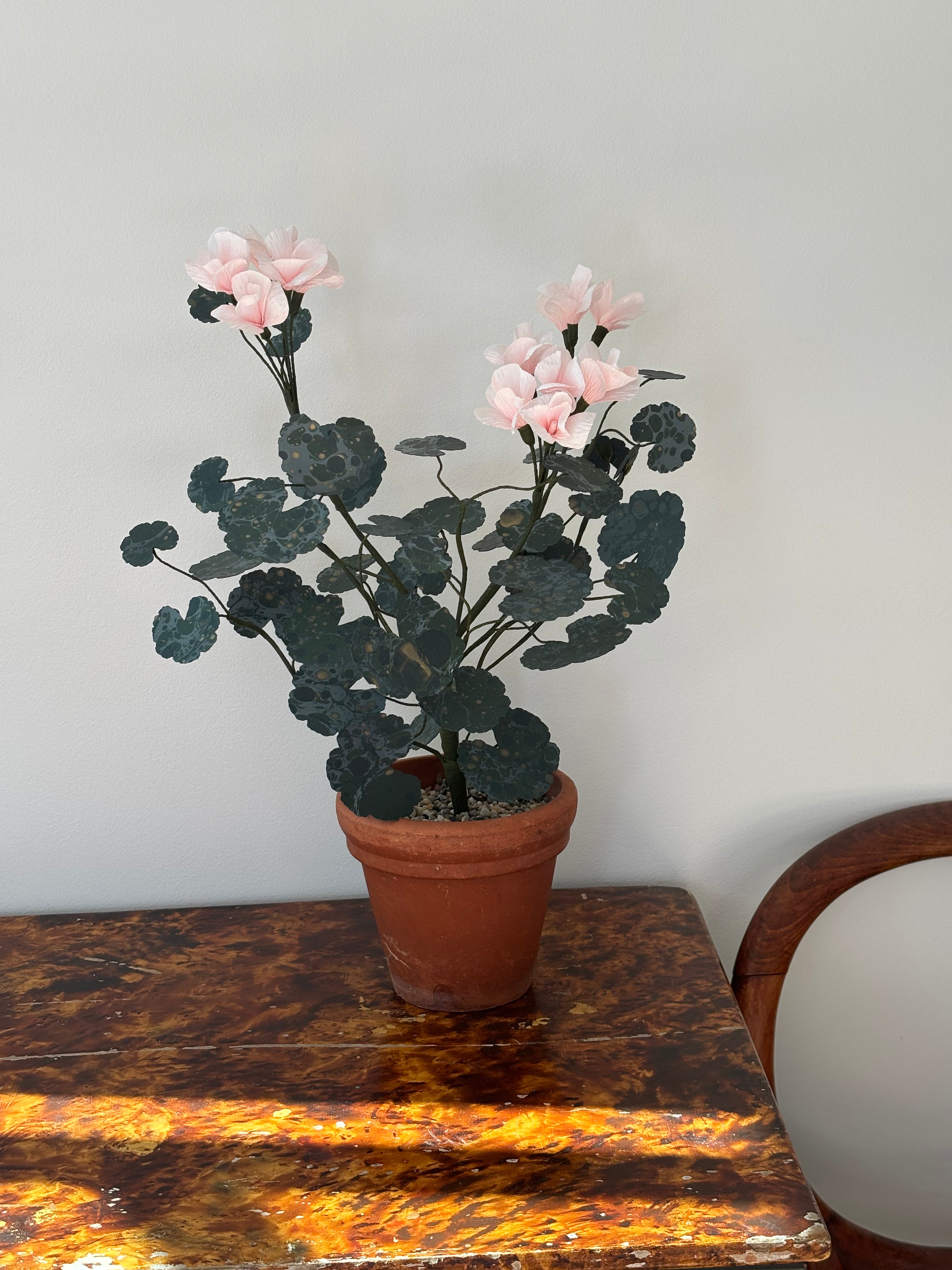 Paper Geranium