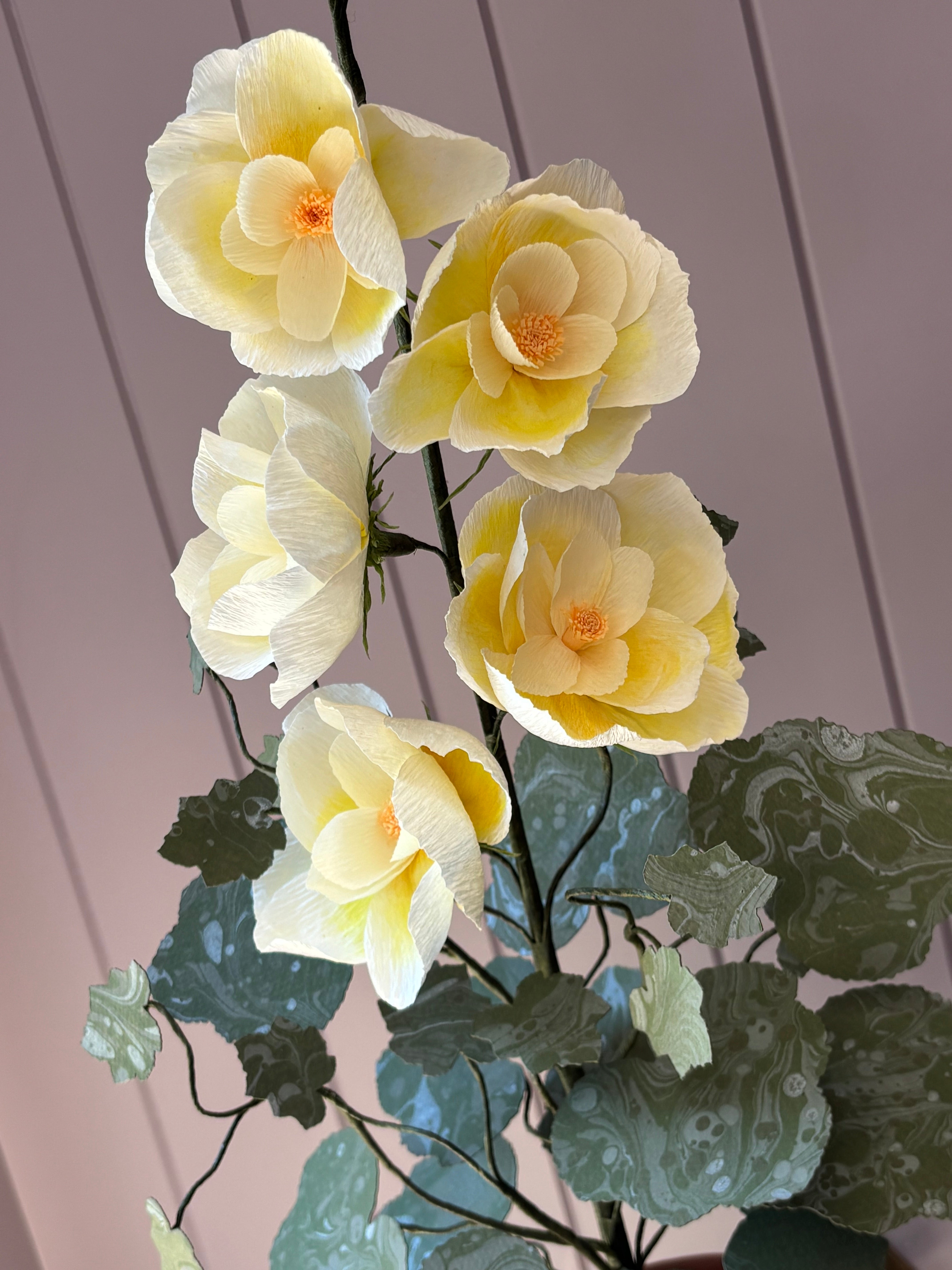 Paper Hollyhock