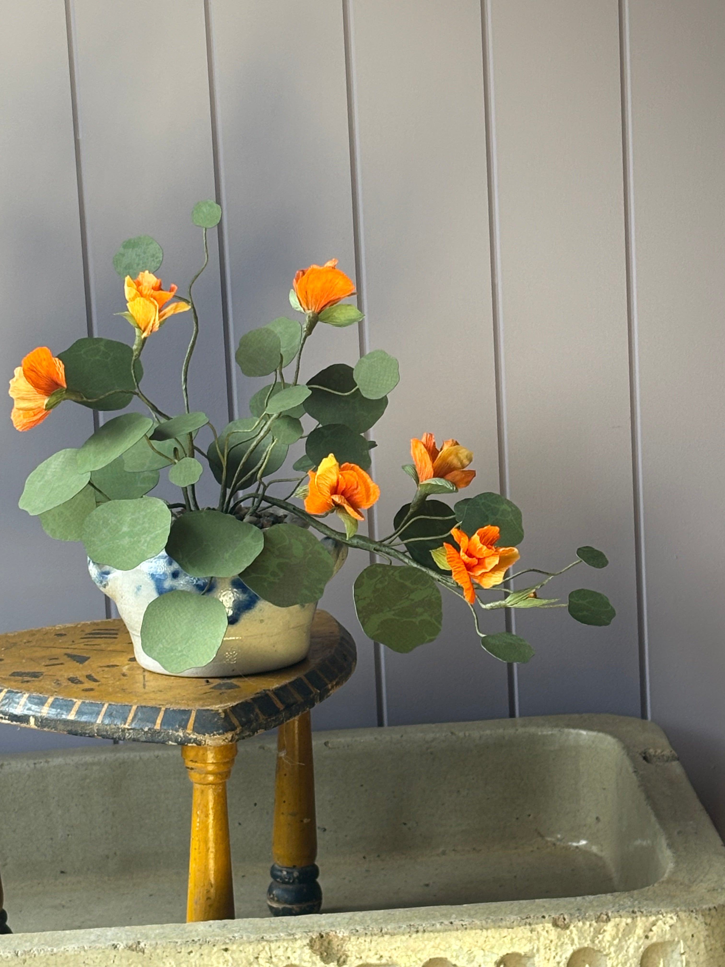 Nasturtium, trailing