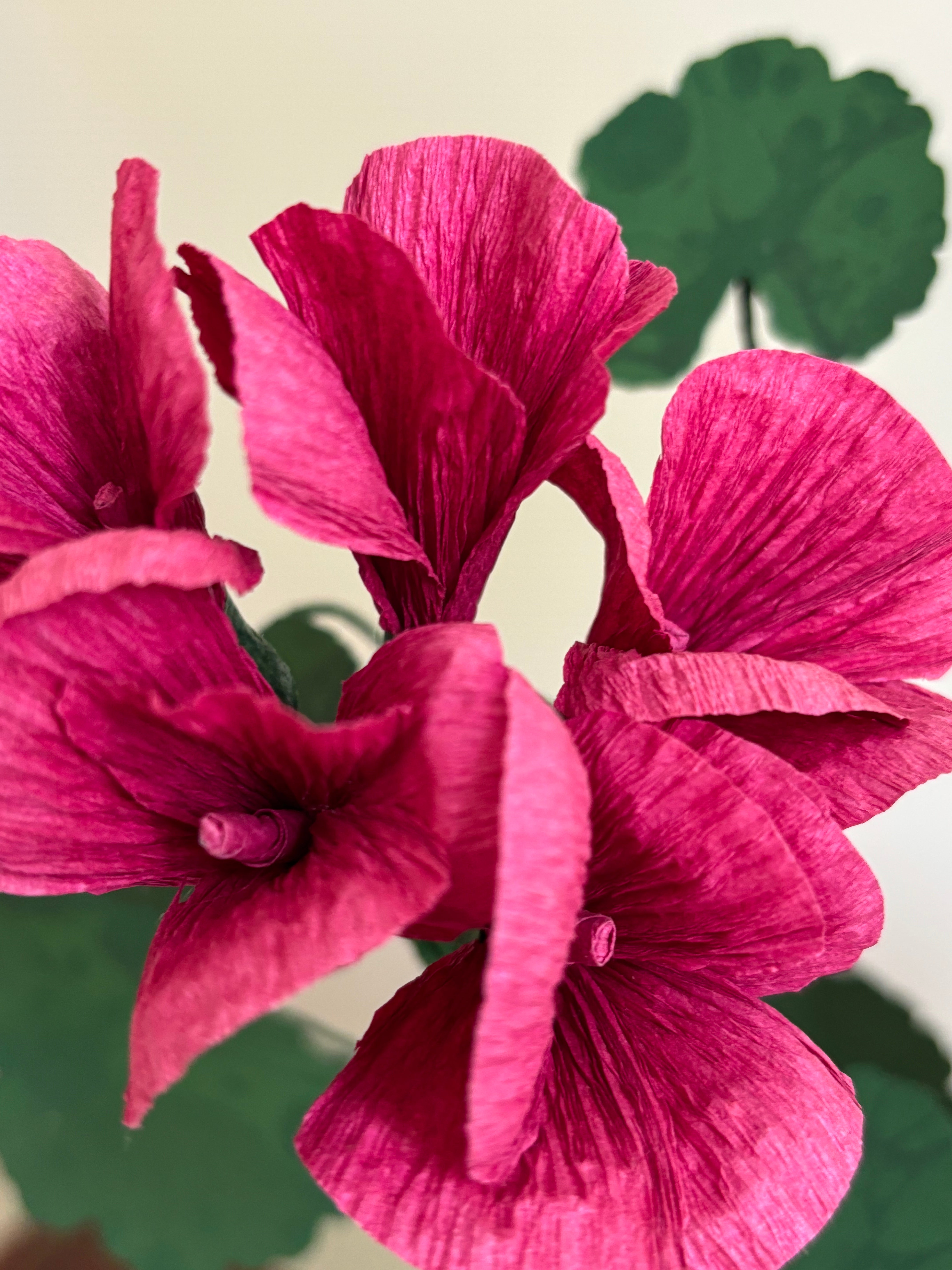 Paper Geranium