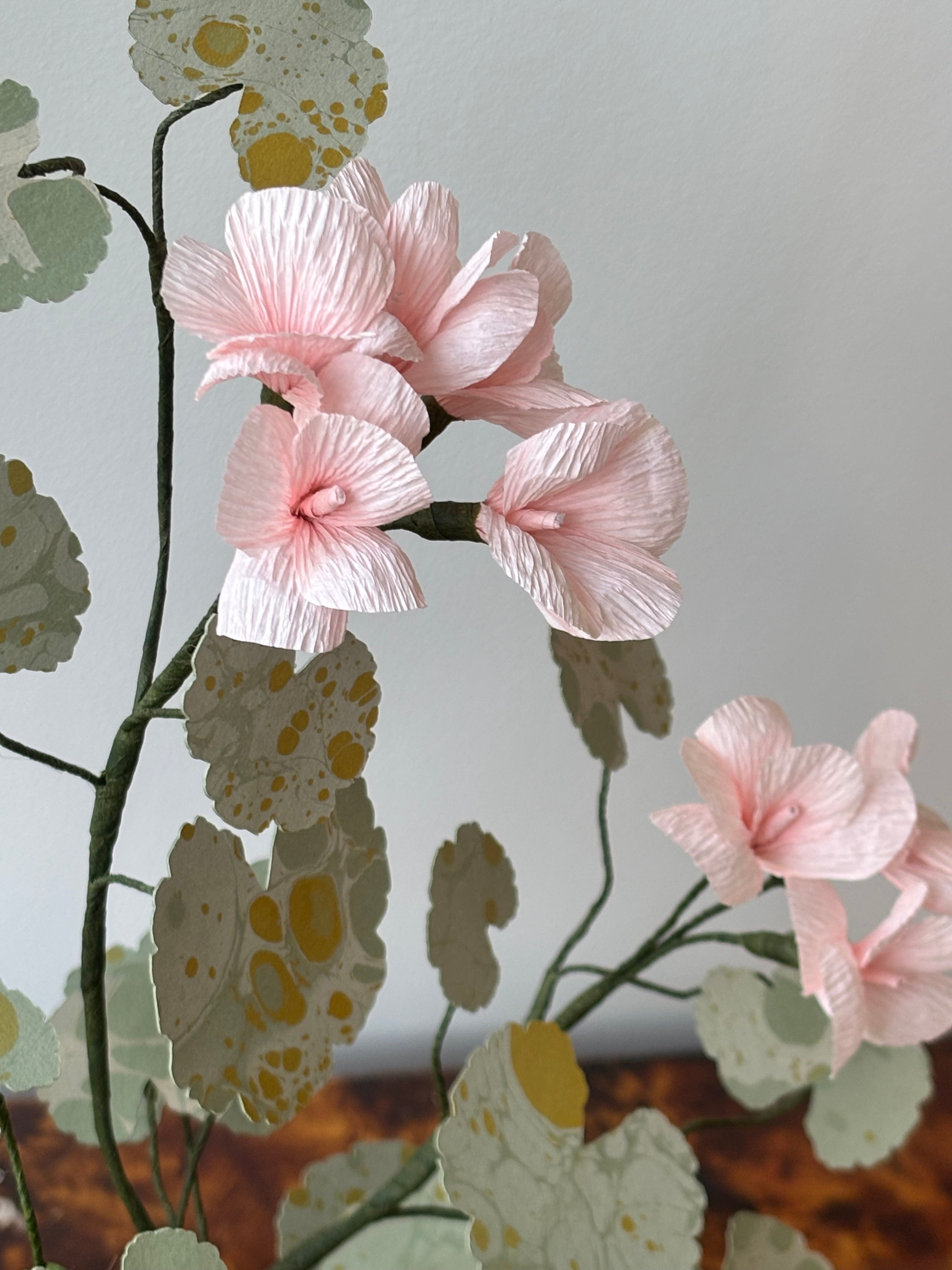 Paper Geranium