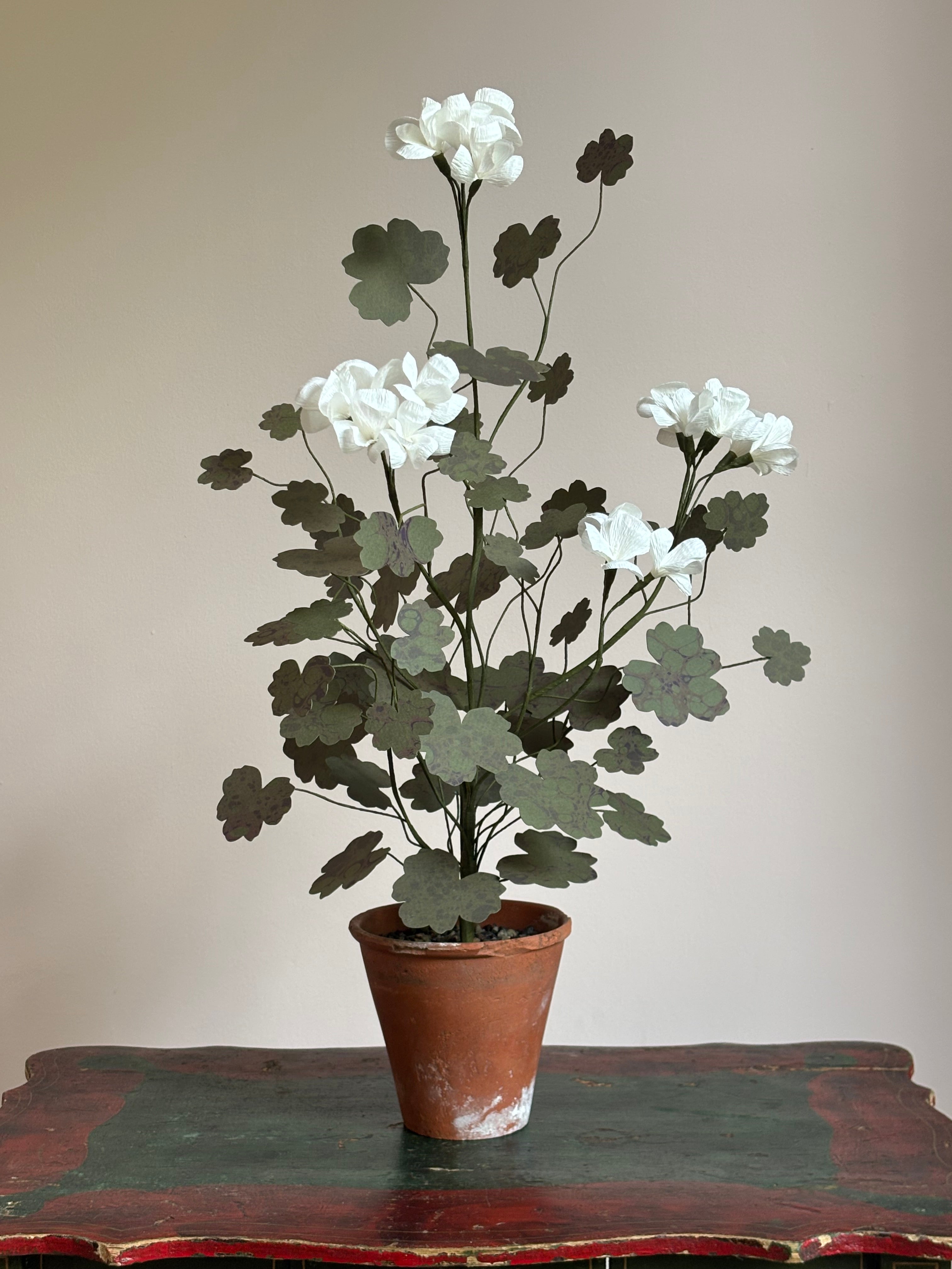 Paper Geranium