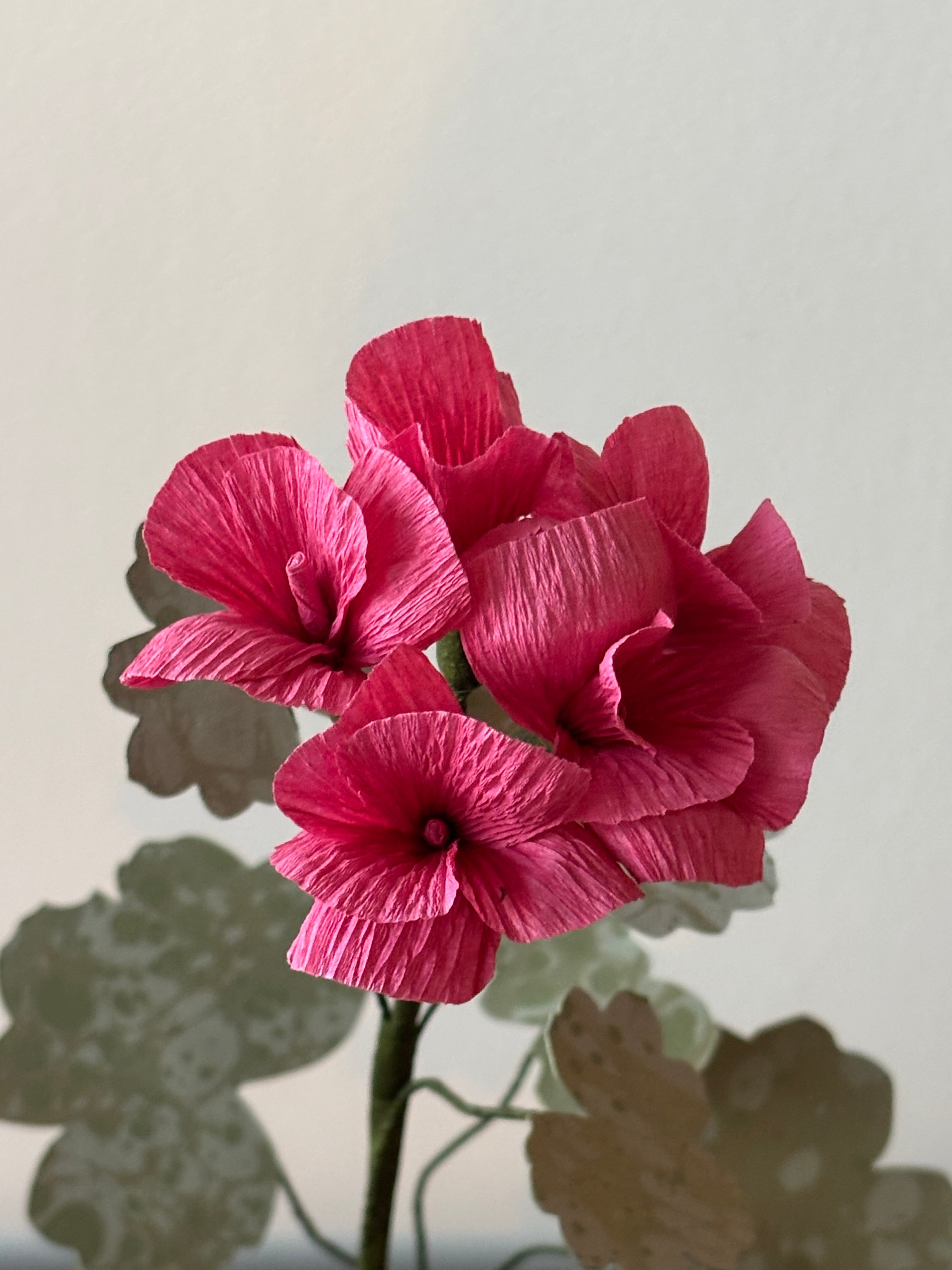 Paper Geranium