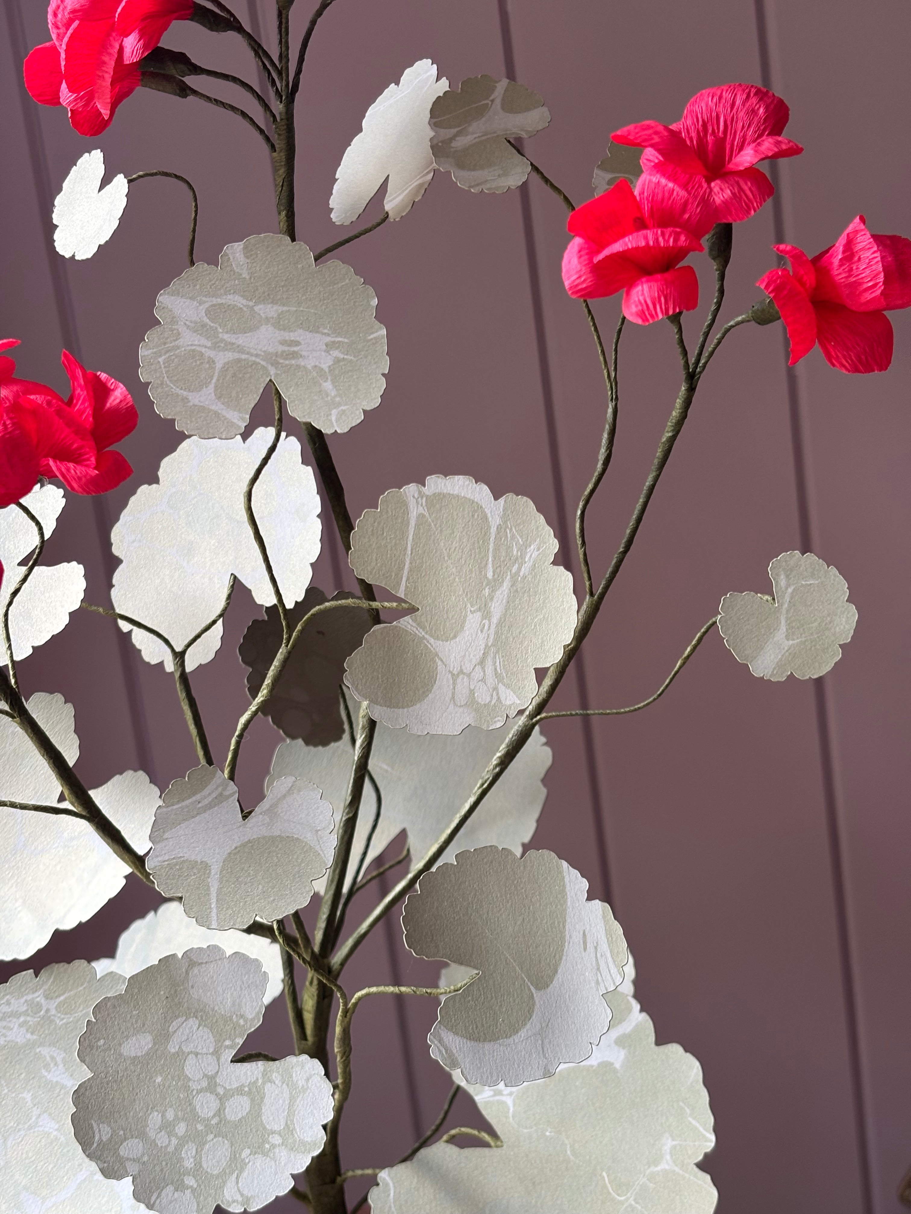 Paper geranium