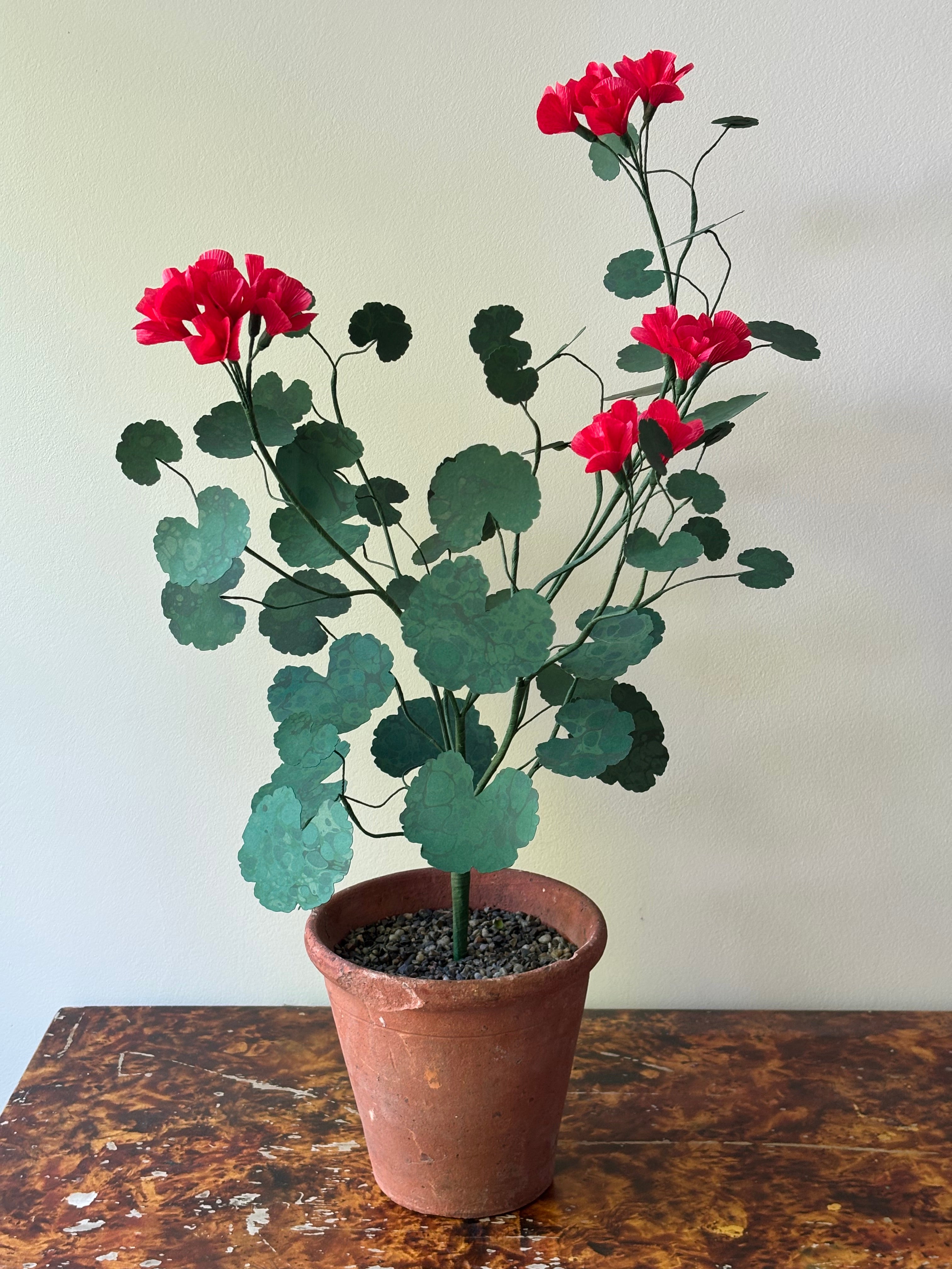 Paper Geranium