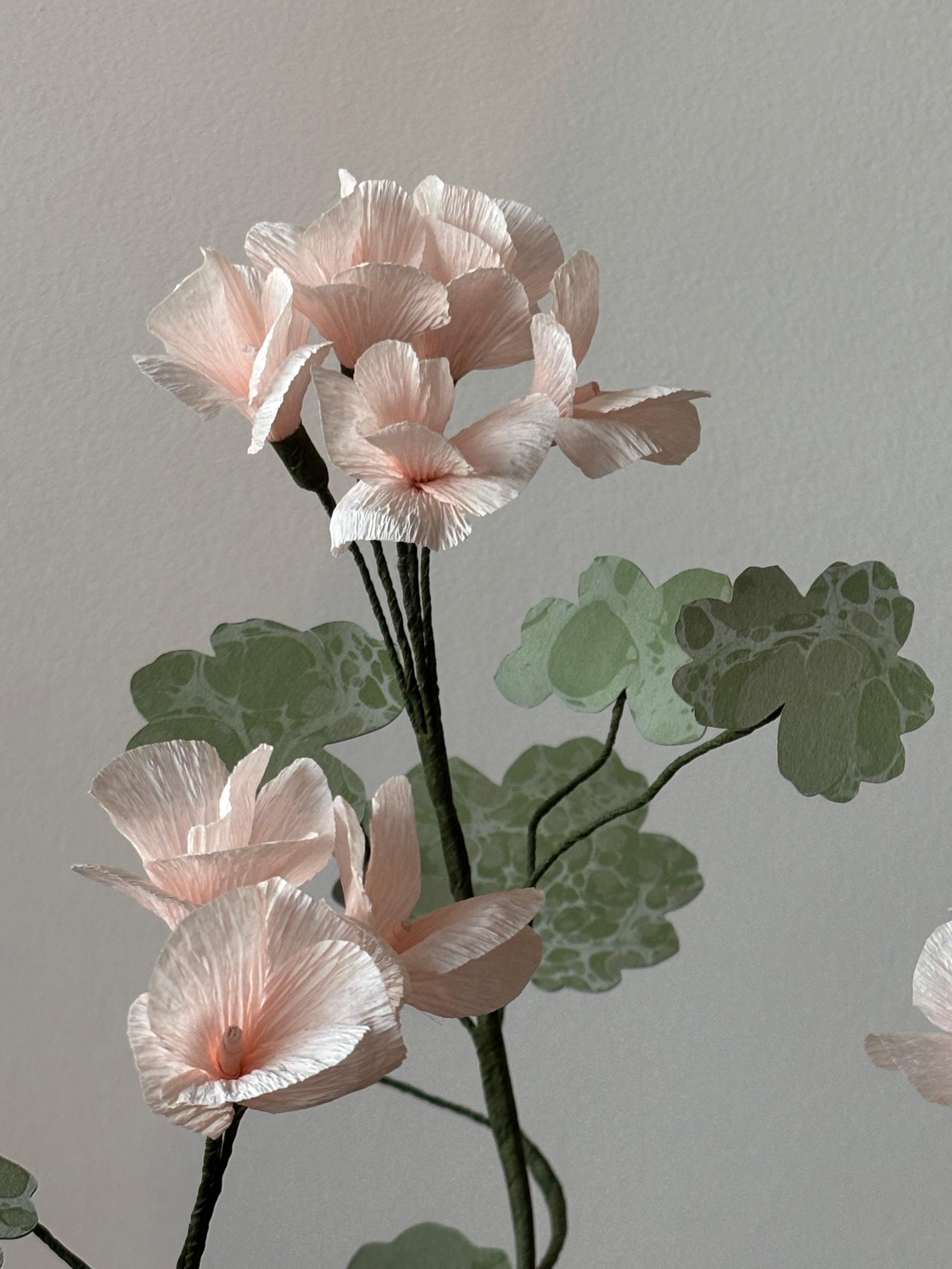 Paper Geranium