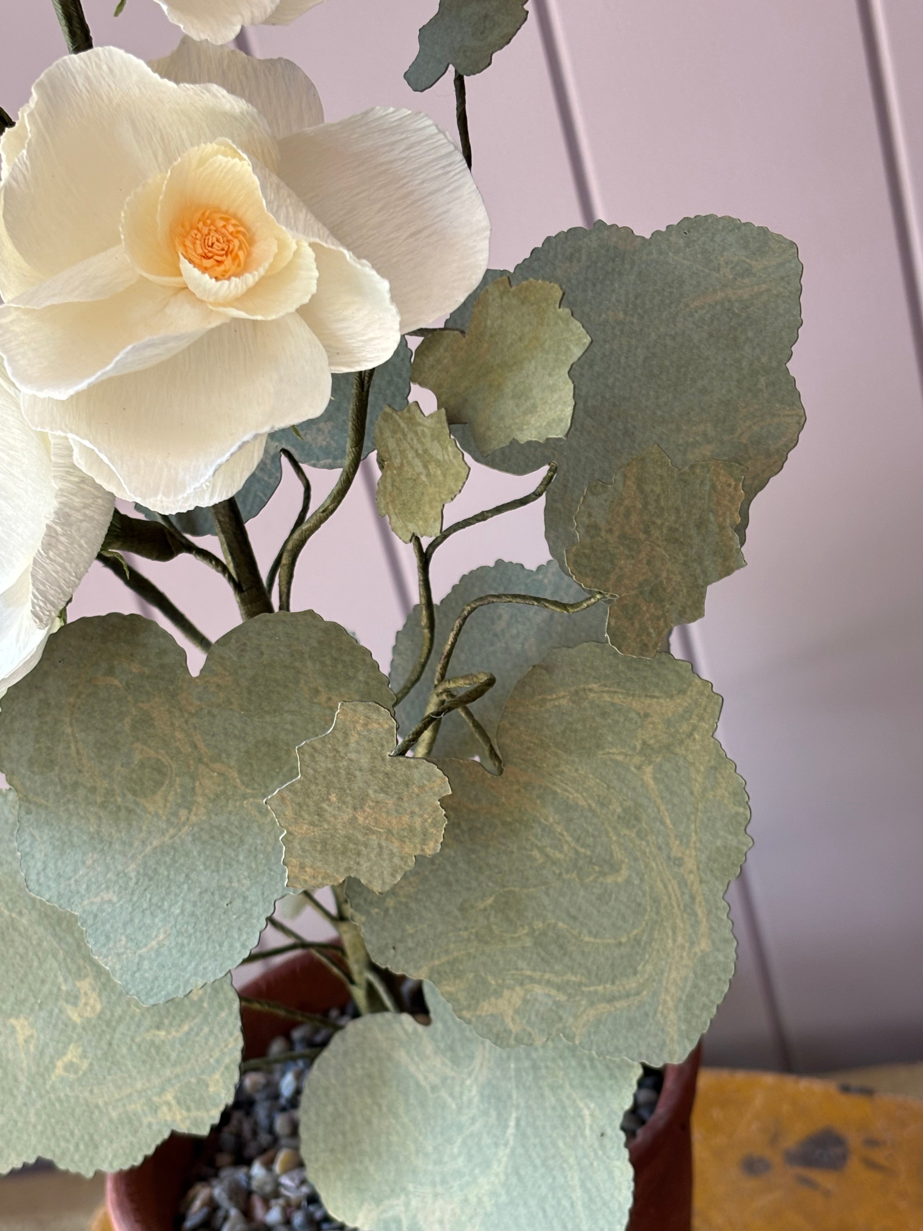 Paper Hollyhock