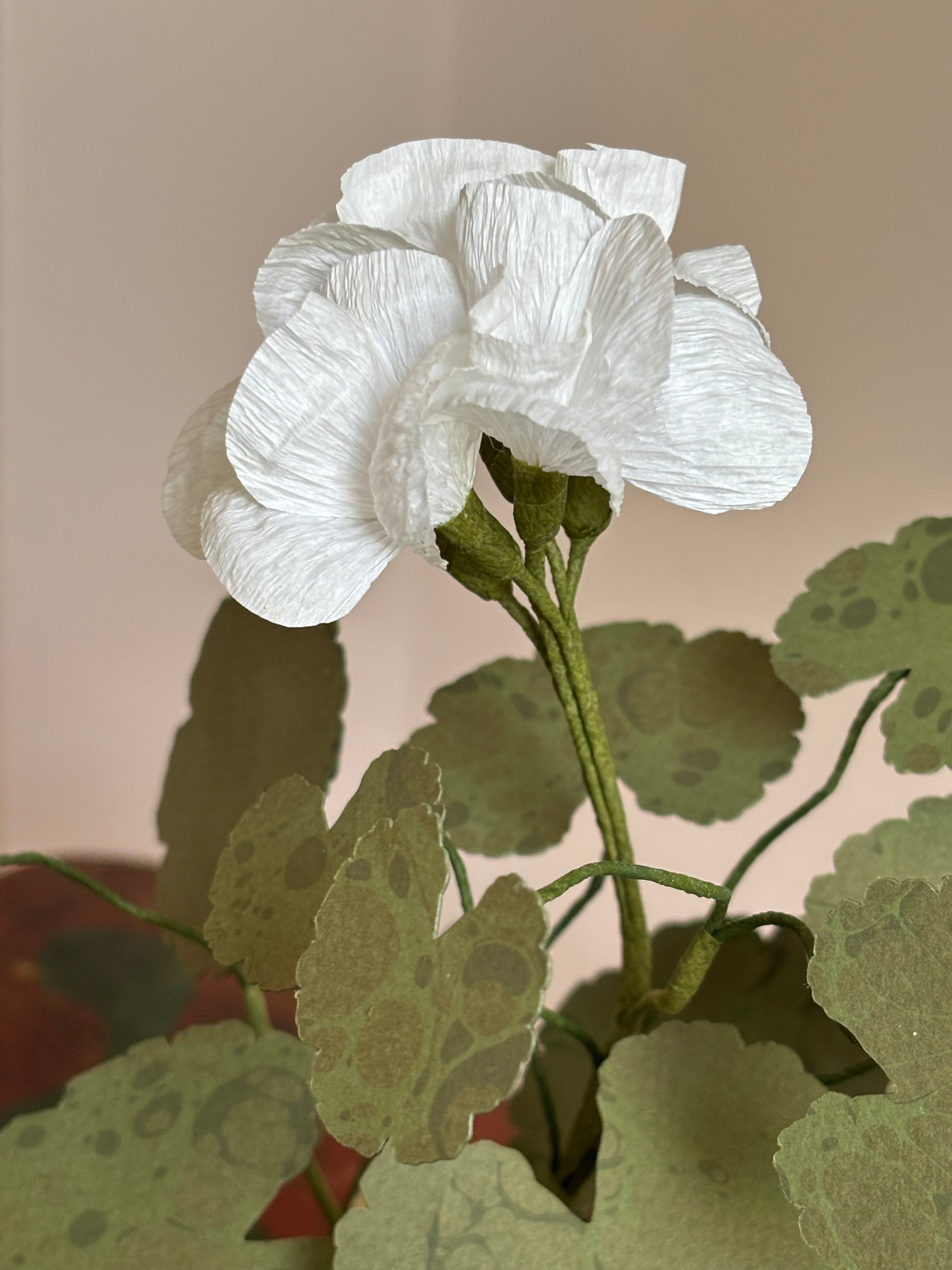 Paper Geraniums