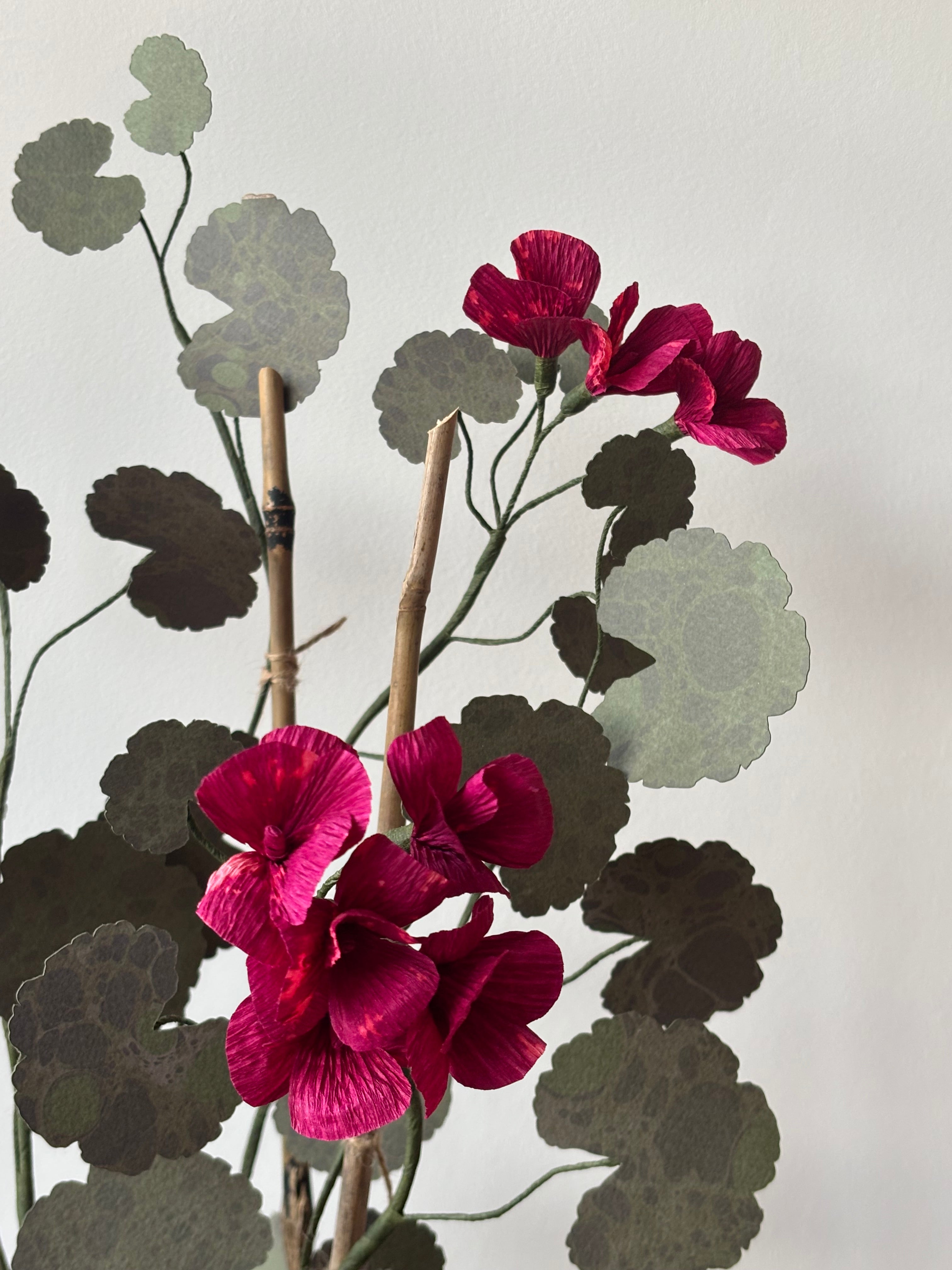 Paper Geranium