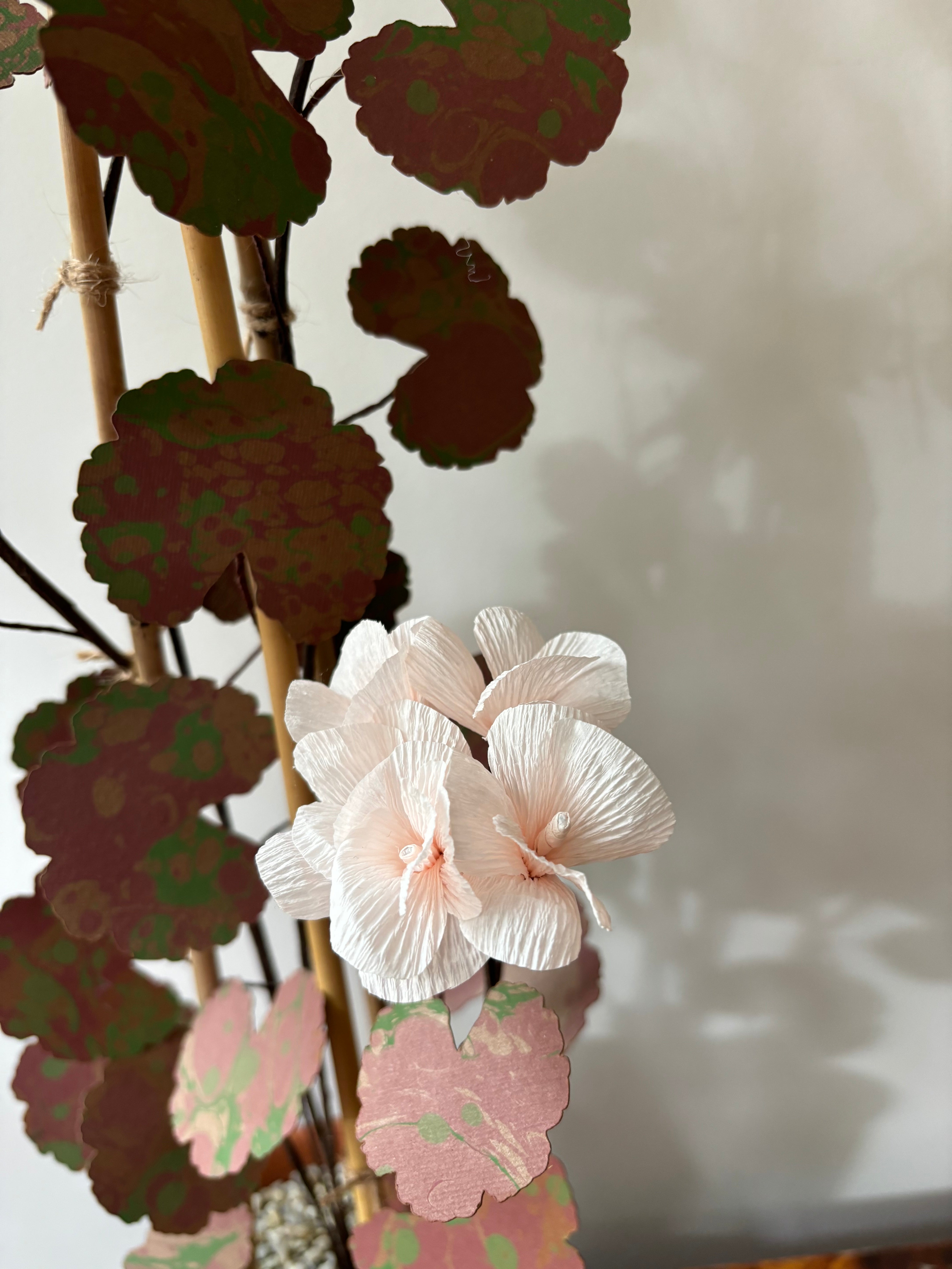 Paper Geranium