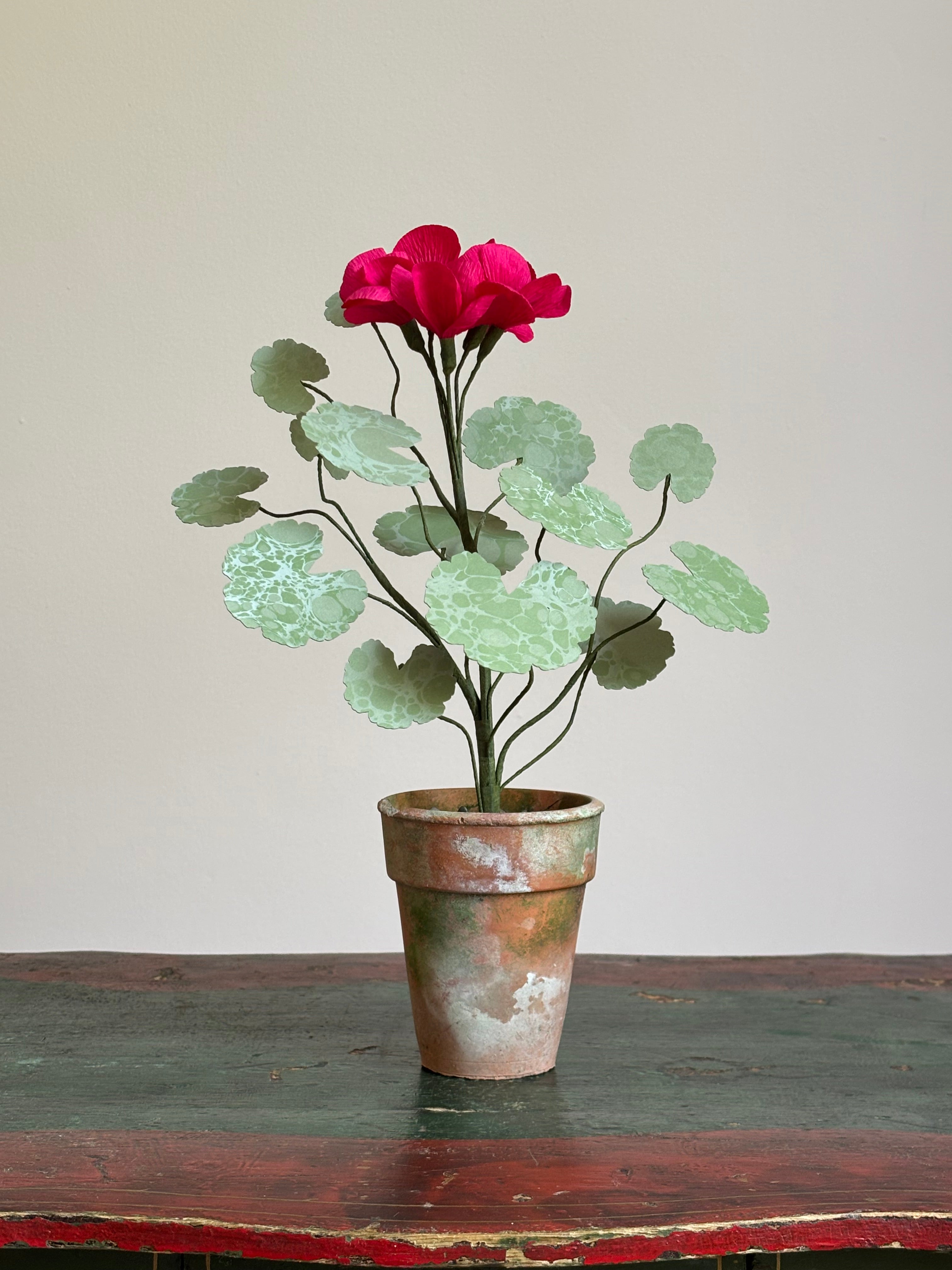 Paper Geranium