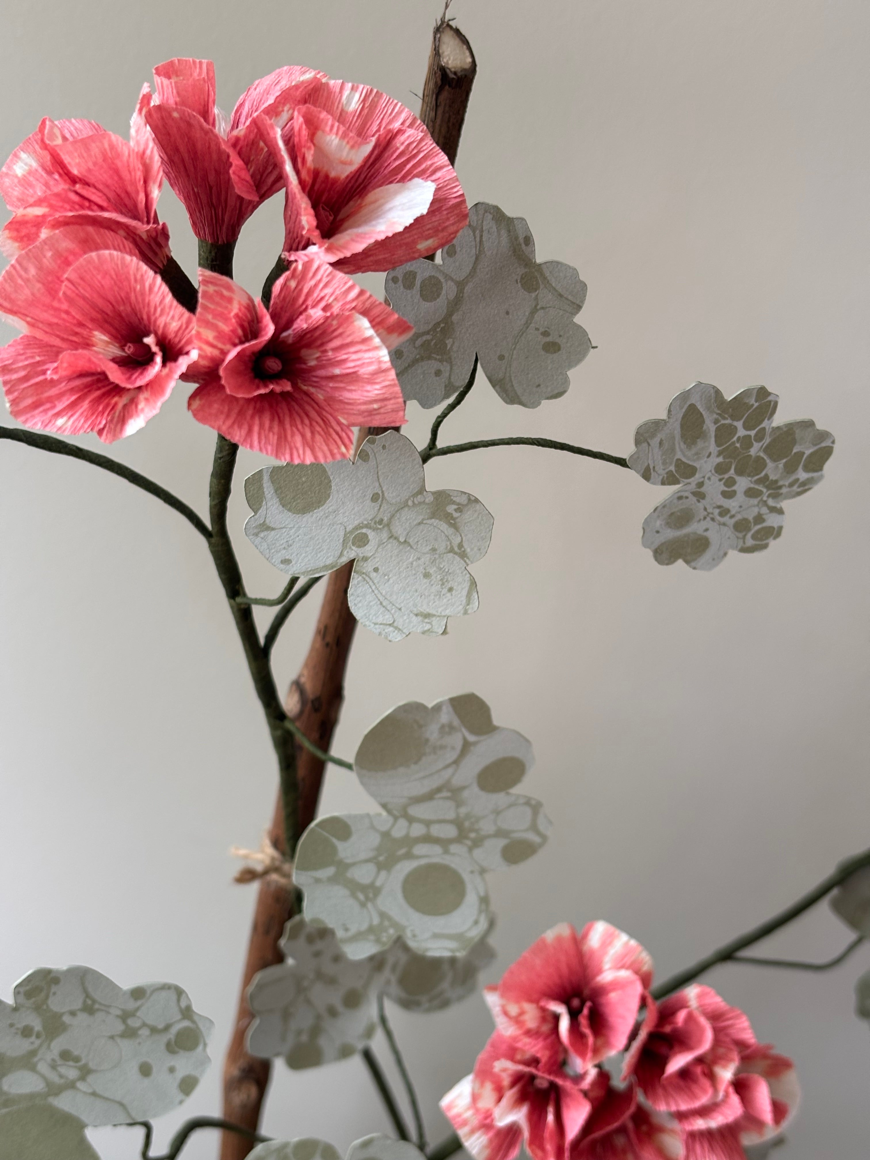 Paper Geranium
