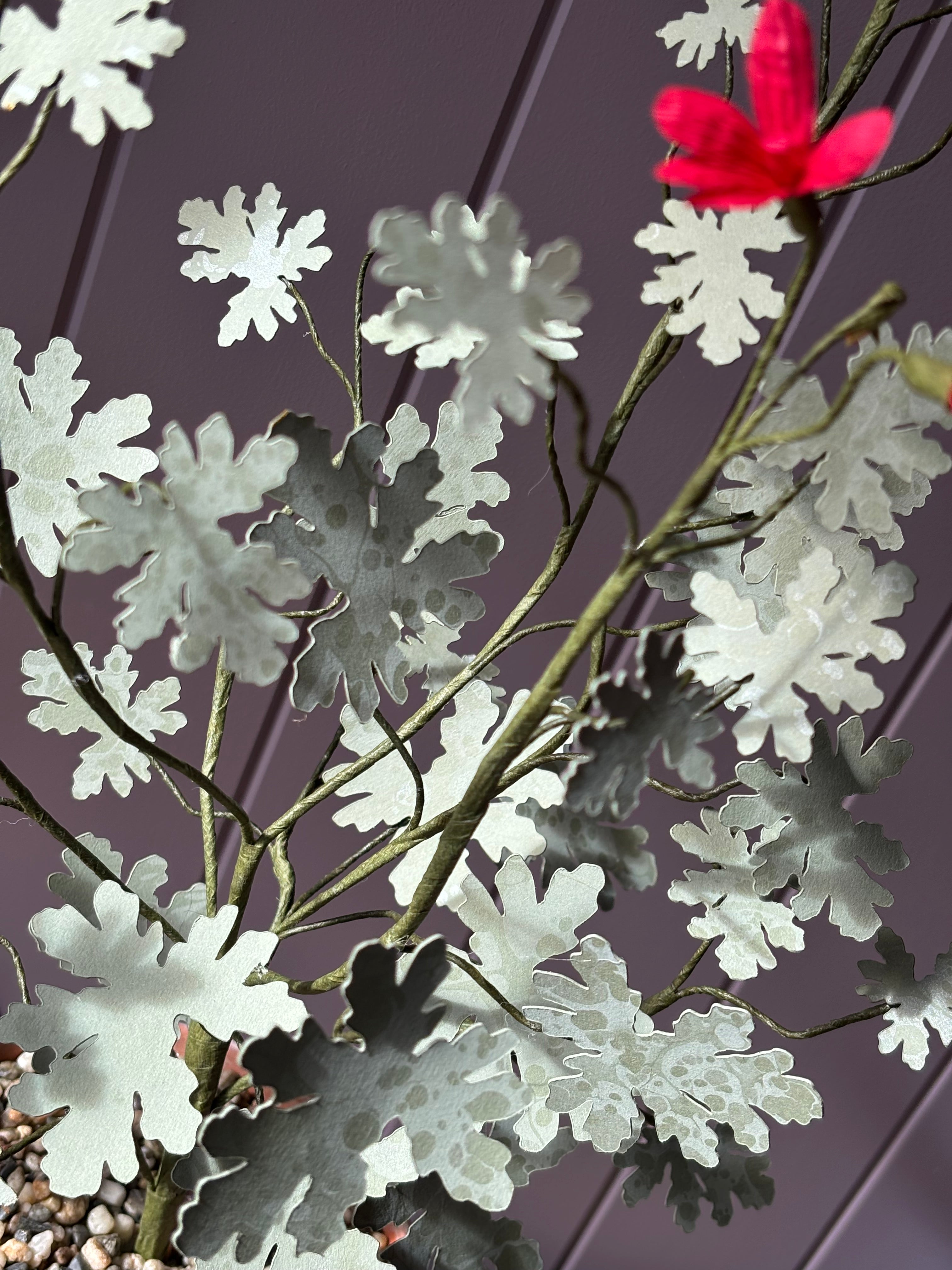 Paper pelargonium inspired by Radens variety
