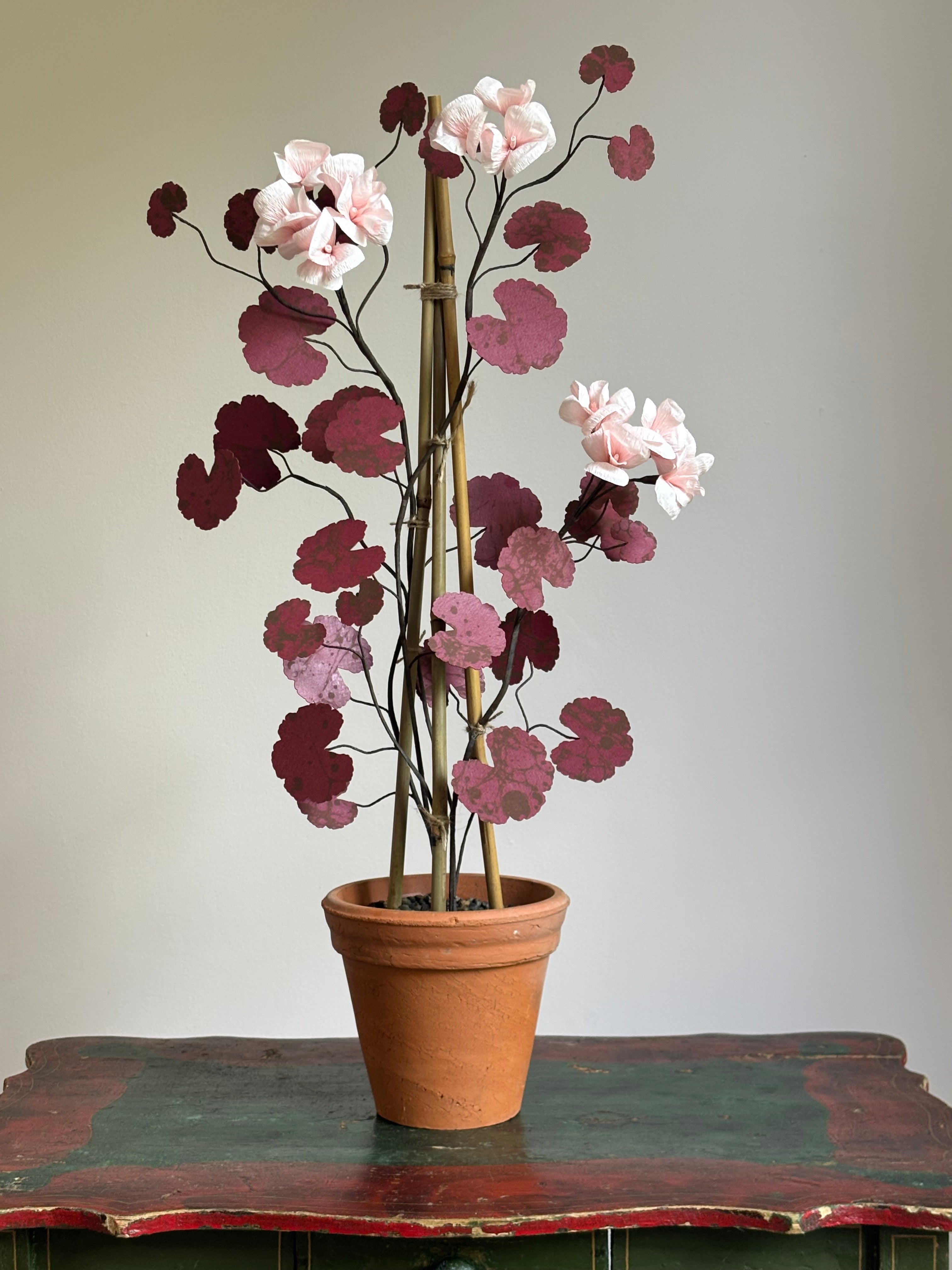 Paper Geranium