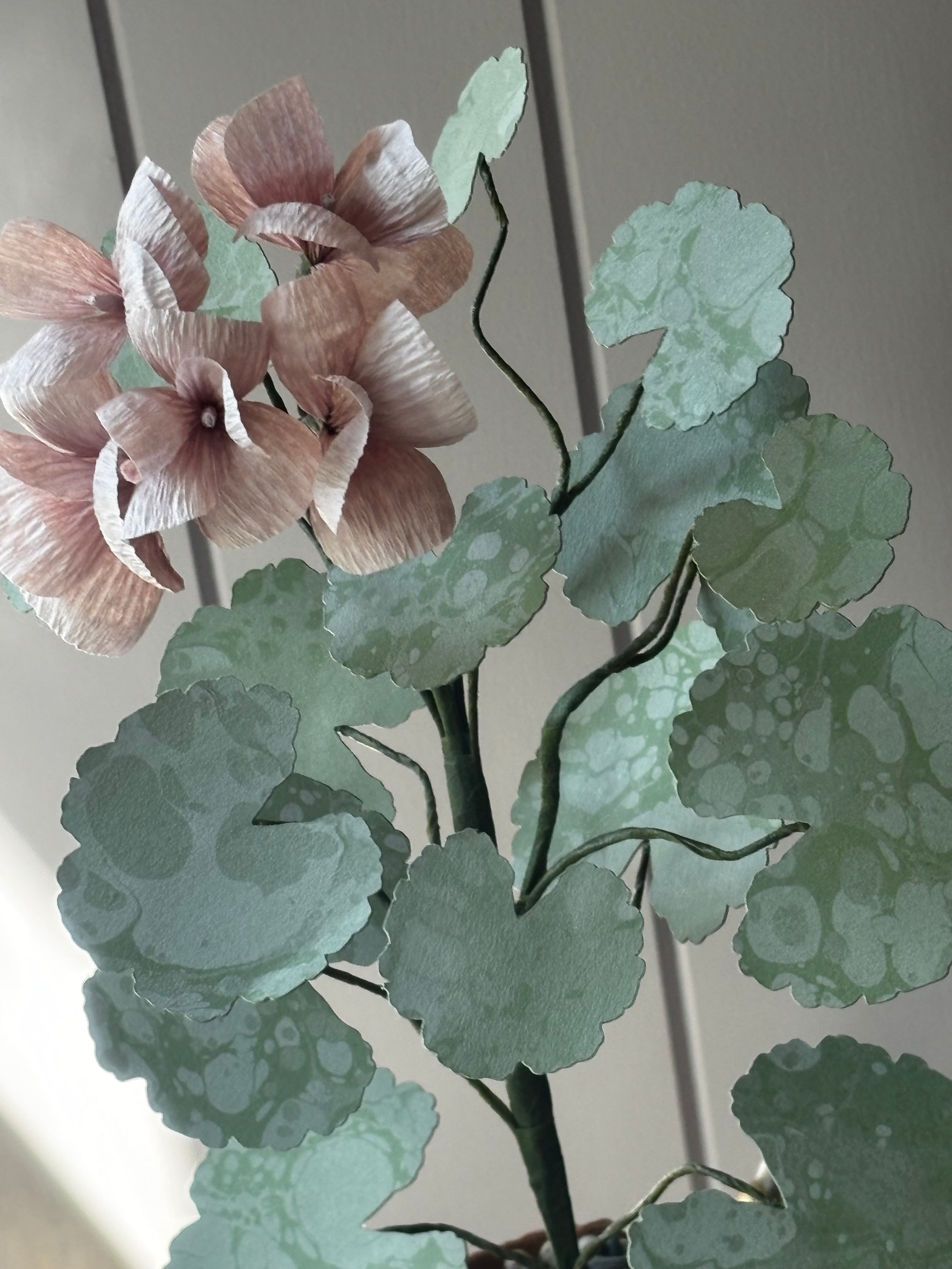 Paper geranium
