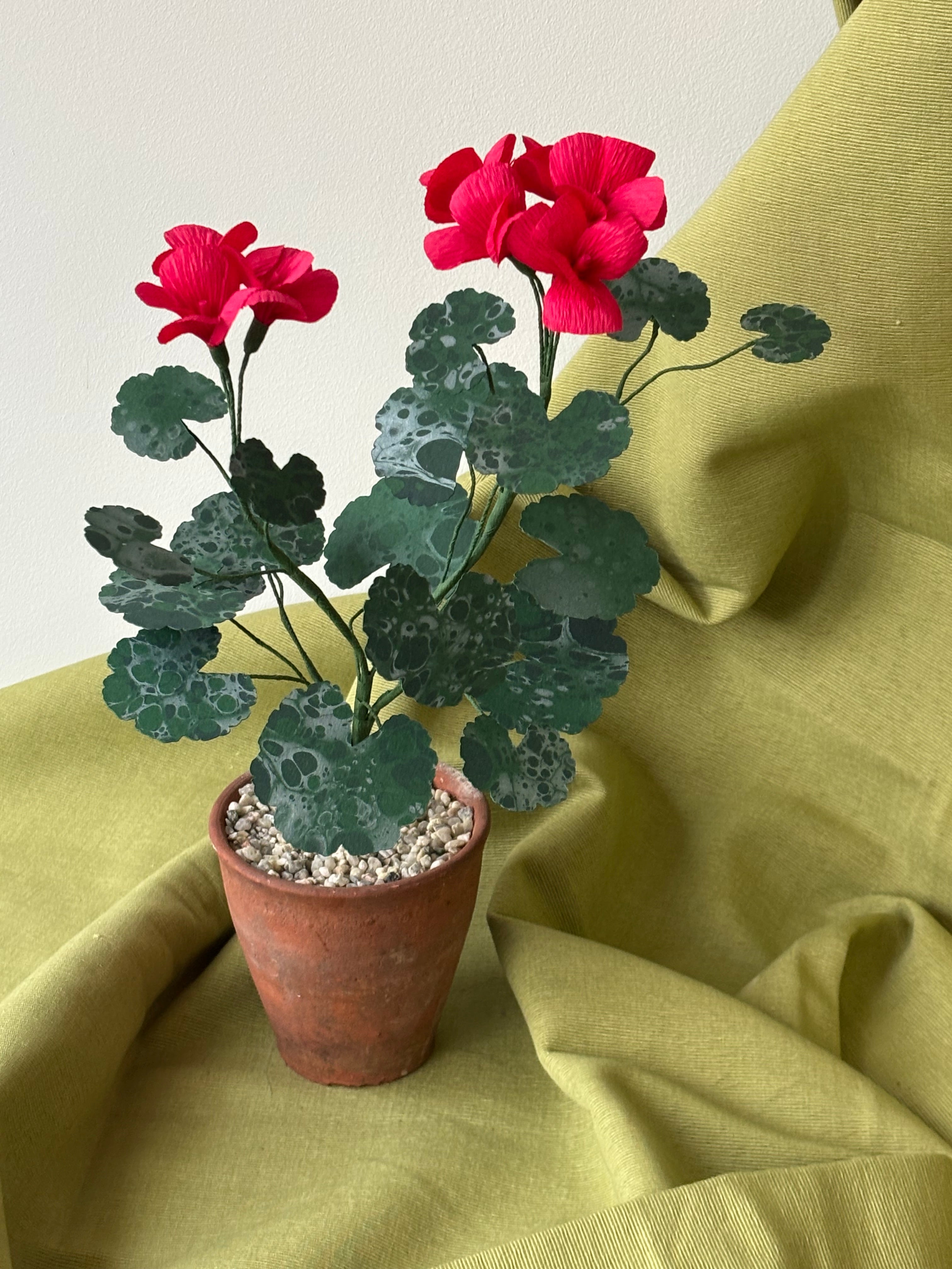 Paper Geranium