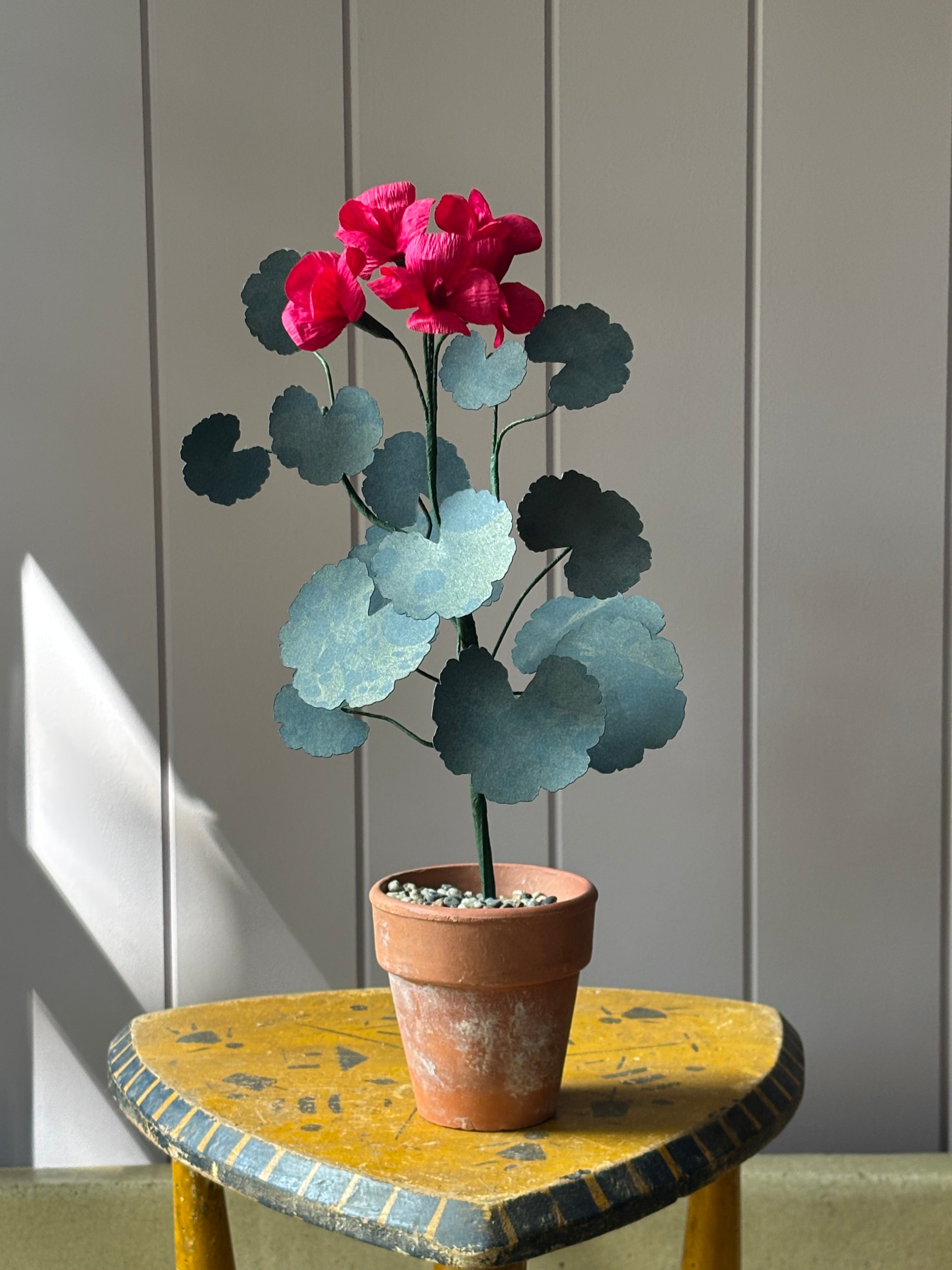Paper geranium