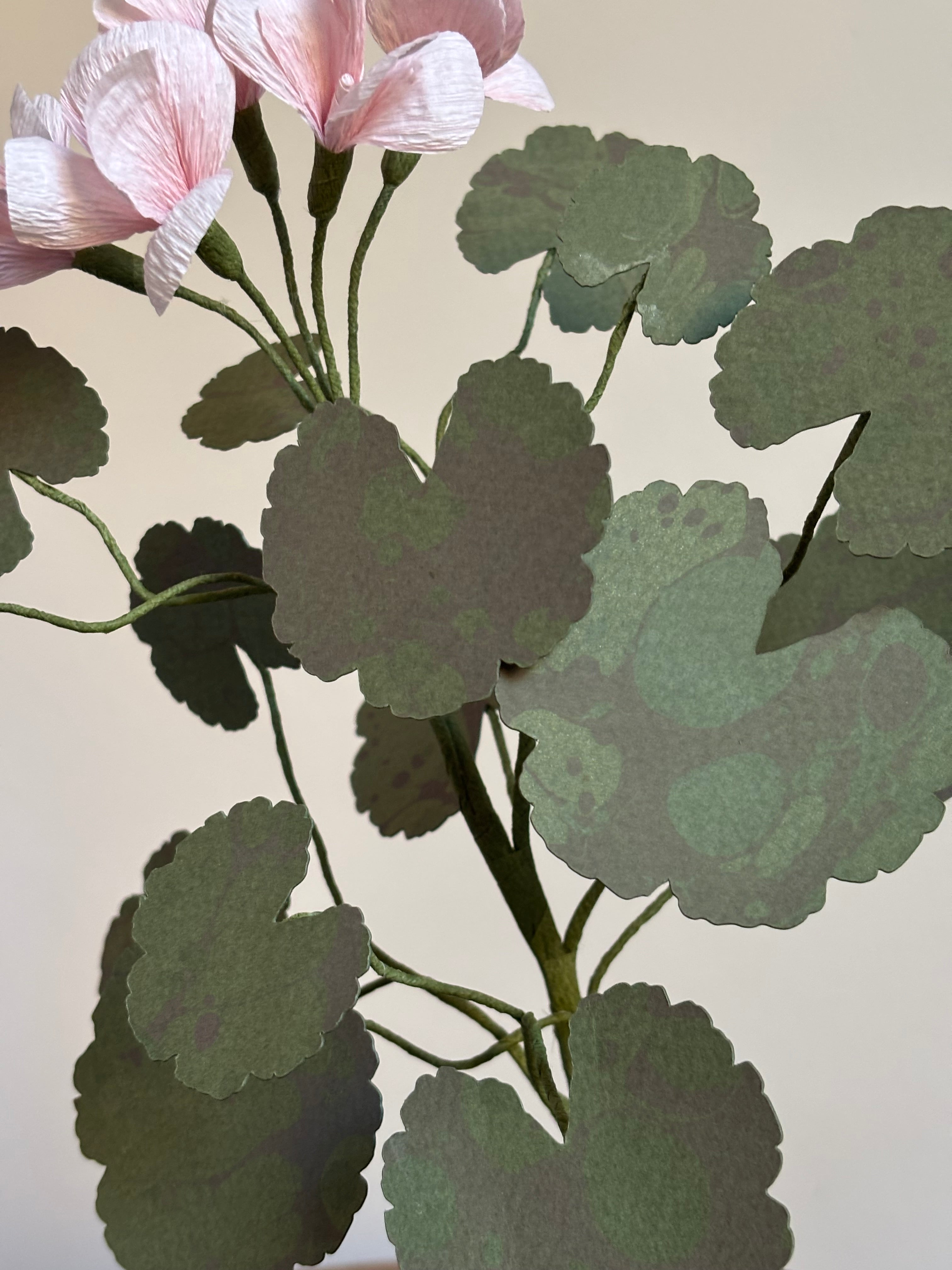 Paper Geranium