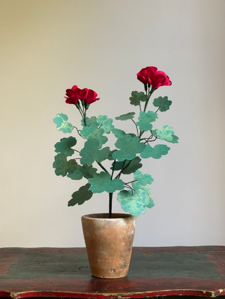Paper Geranium
